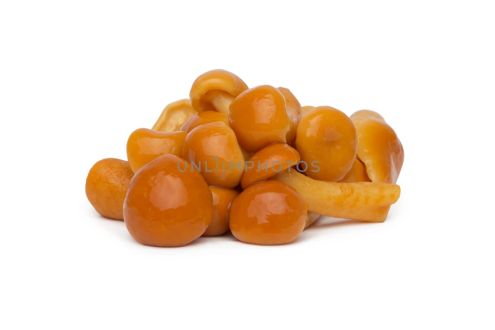 Marinated mushroom isolated on white