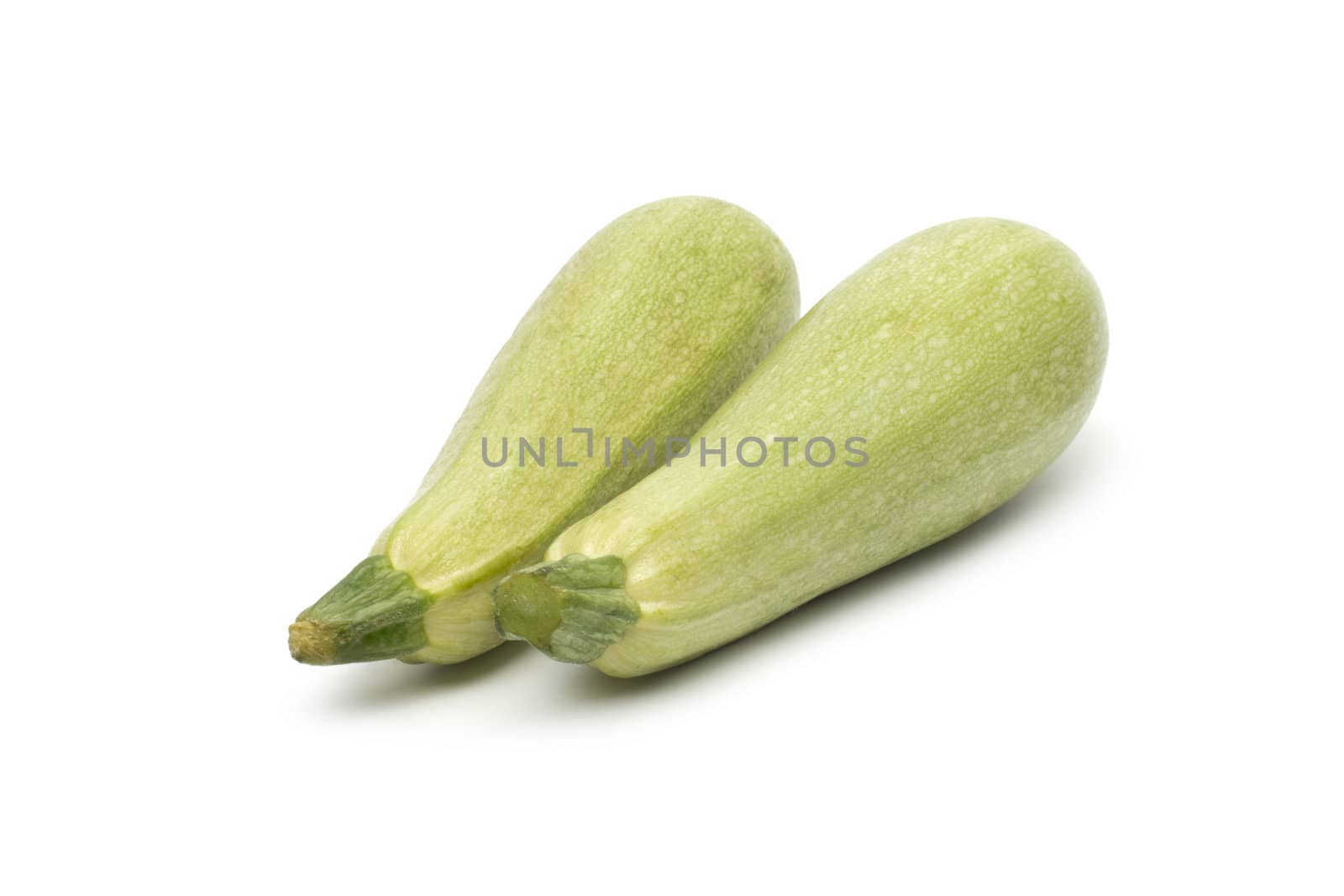 Fresh vegetable marrow. Isolated on white