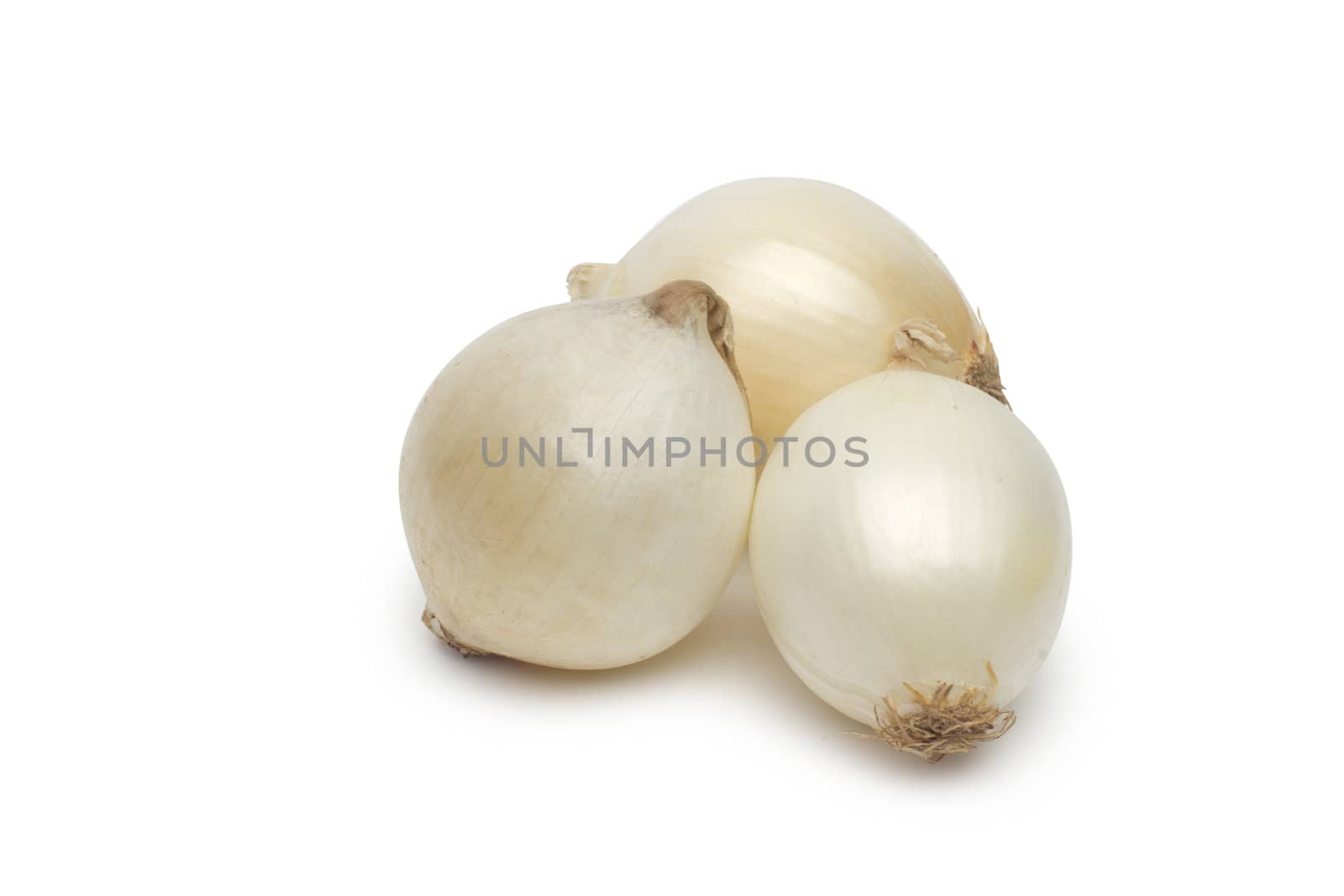 Onion on white background