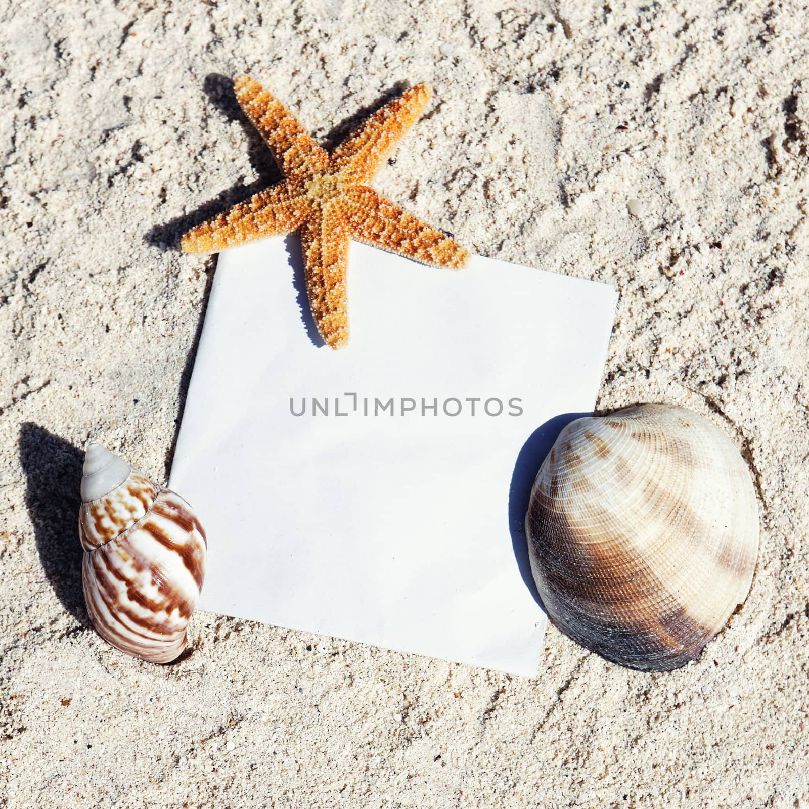 Messages between sands and shells on caribbean beach