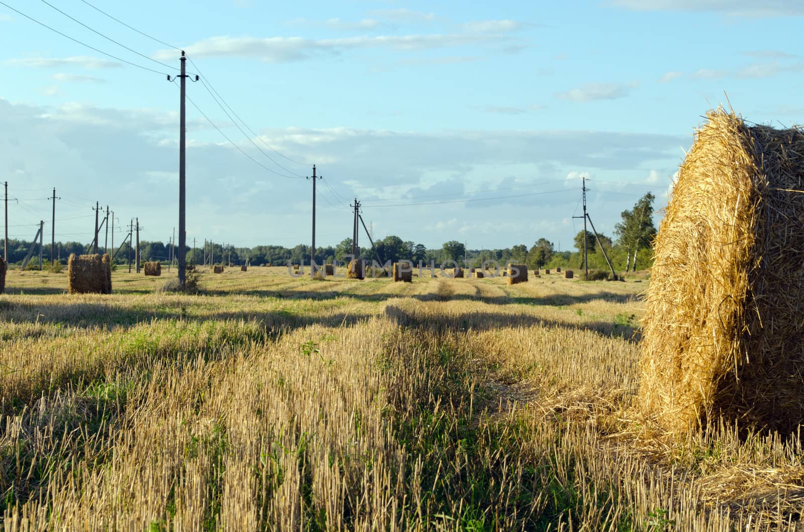 straw bales in harvested agricultural field electric wire poles and autumn cloudy sky.