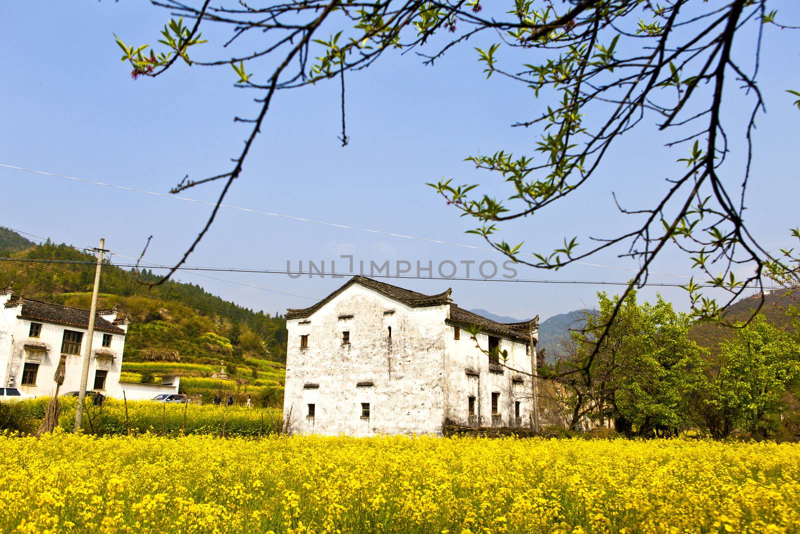 Rural houses in Wuyuan, Jiangxi Province, China. by kawing921