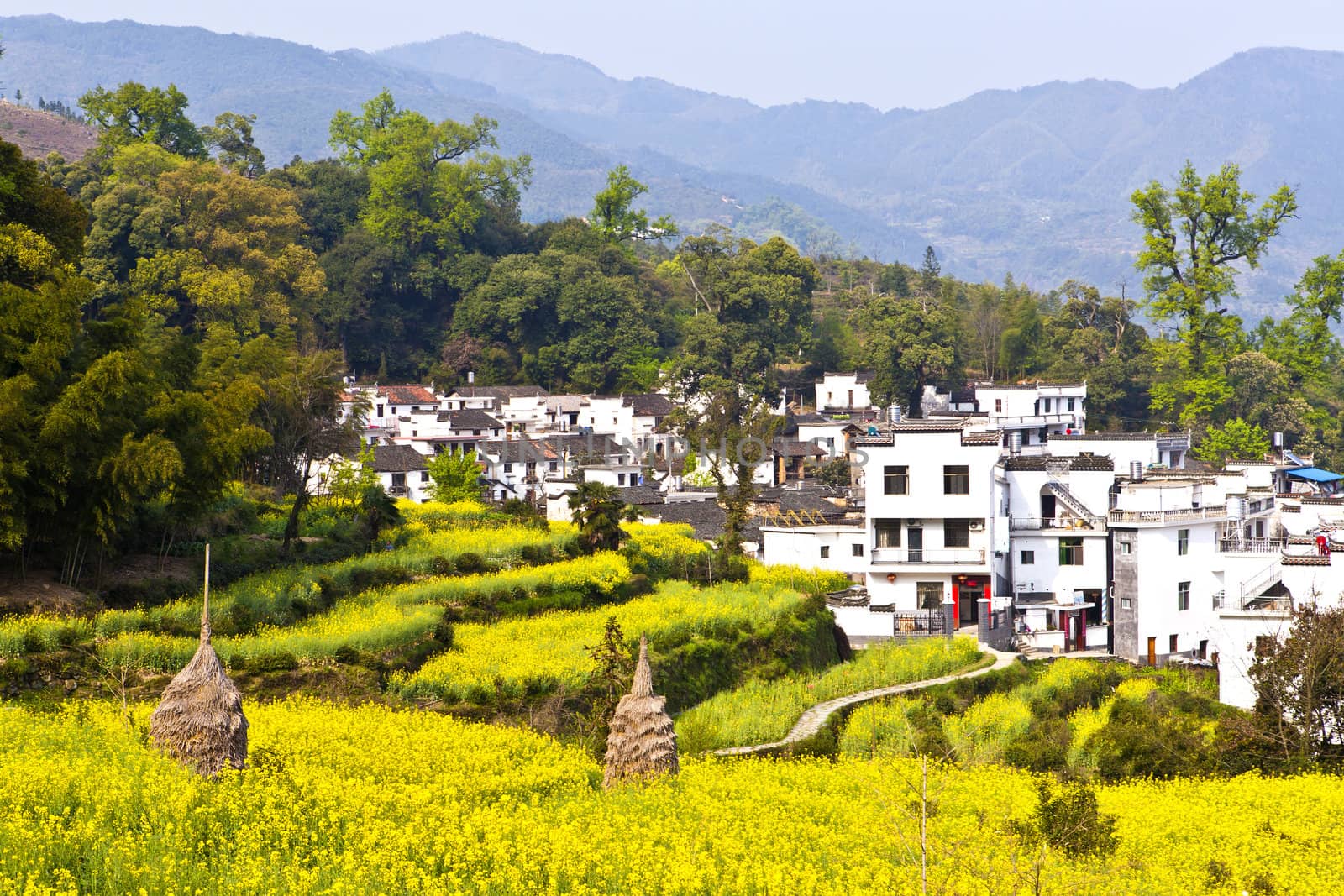 Rural landscape in Wuyuan, Jiangxi Province, China.