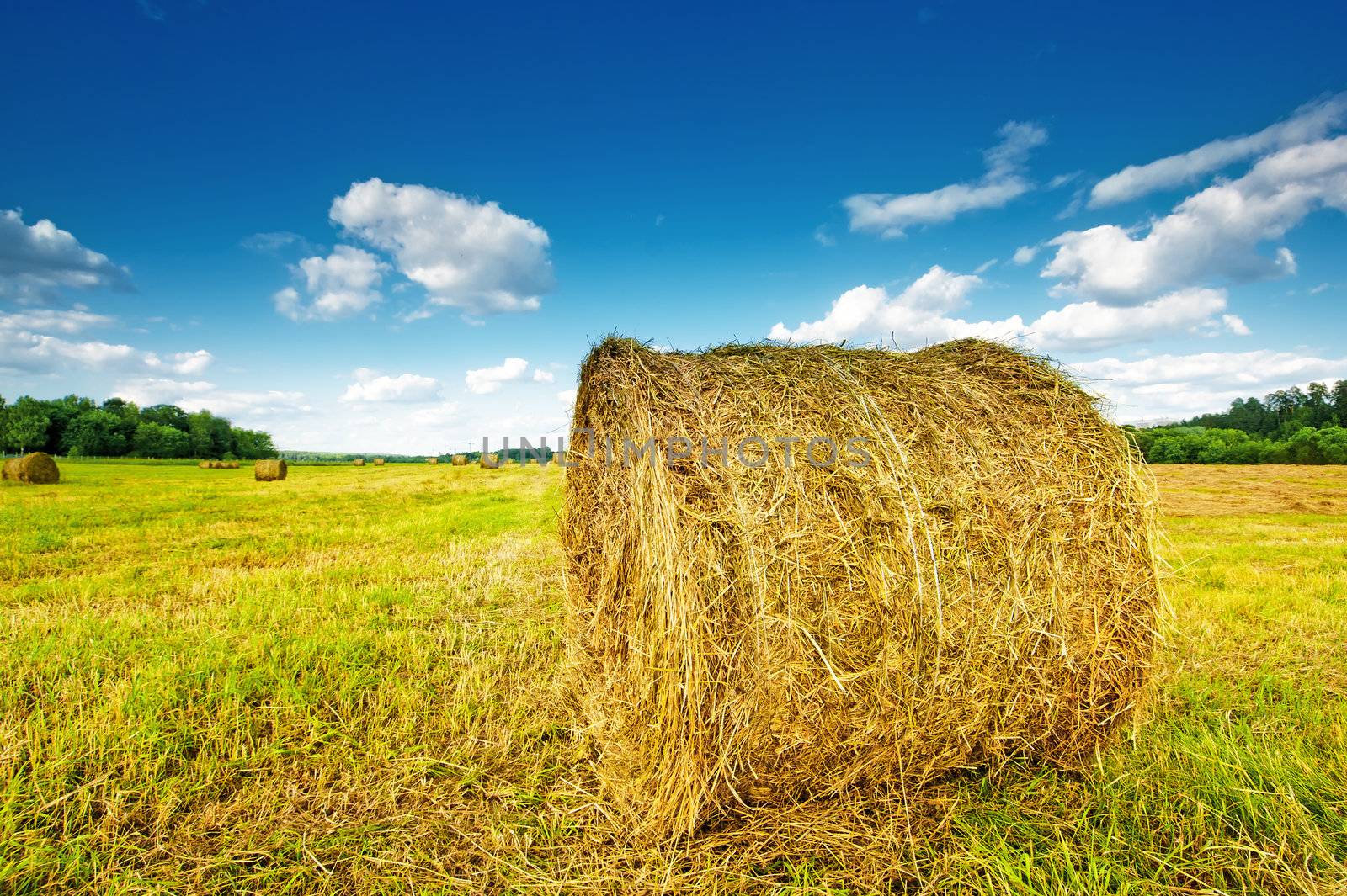 Haystack assembled on the field