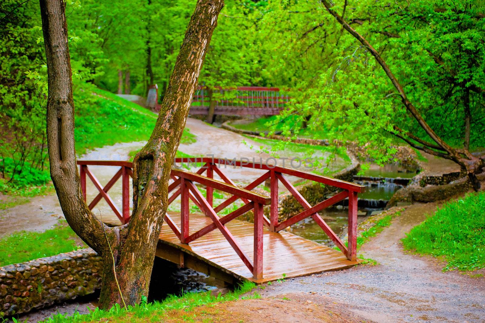 Wooden bridge in green leafy park across the rivulet