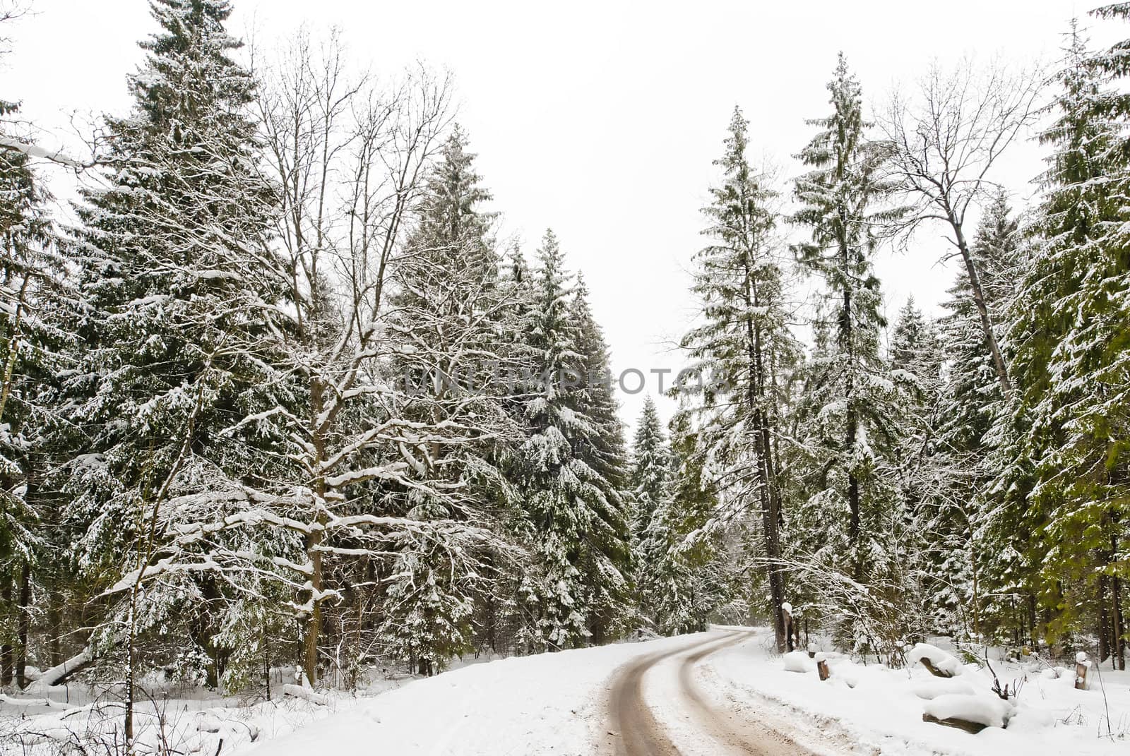 Road in a winter snow-covered wood by kosmsos111