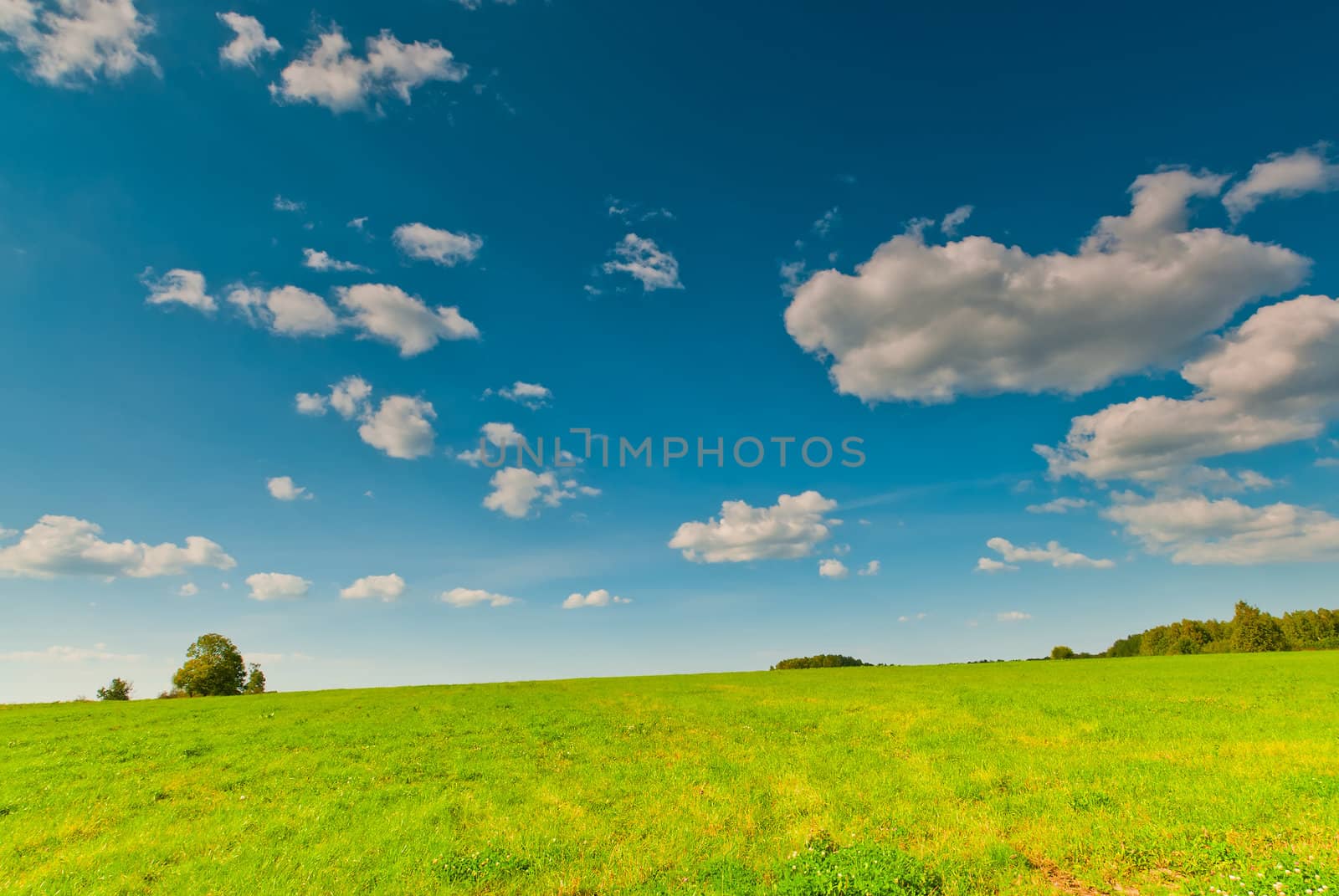 Beautiful view of green field and blue sky with clouds by kosmsos111