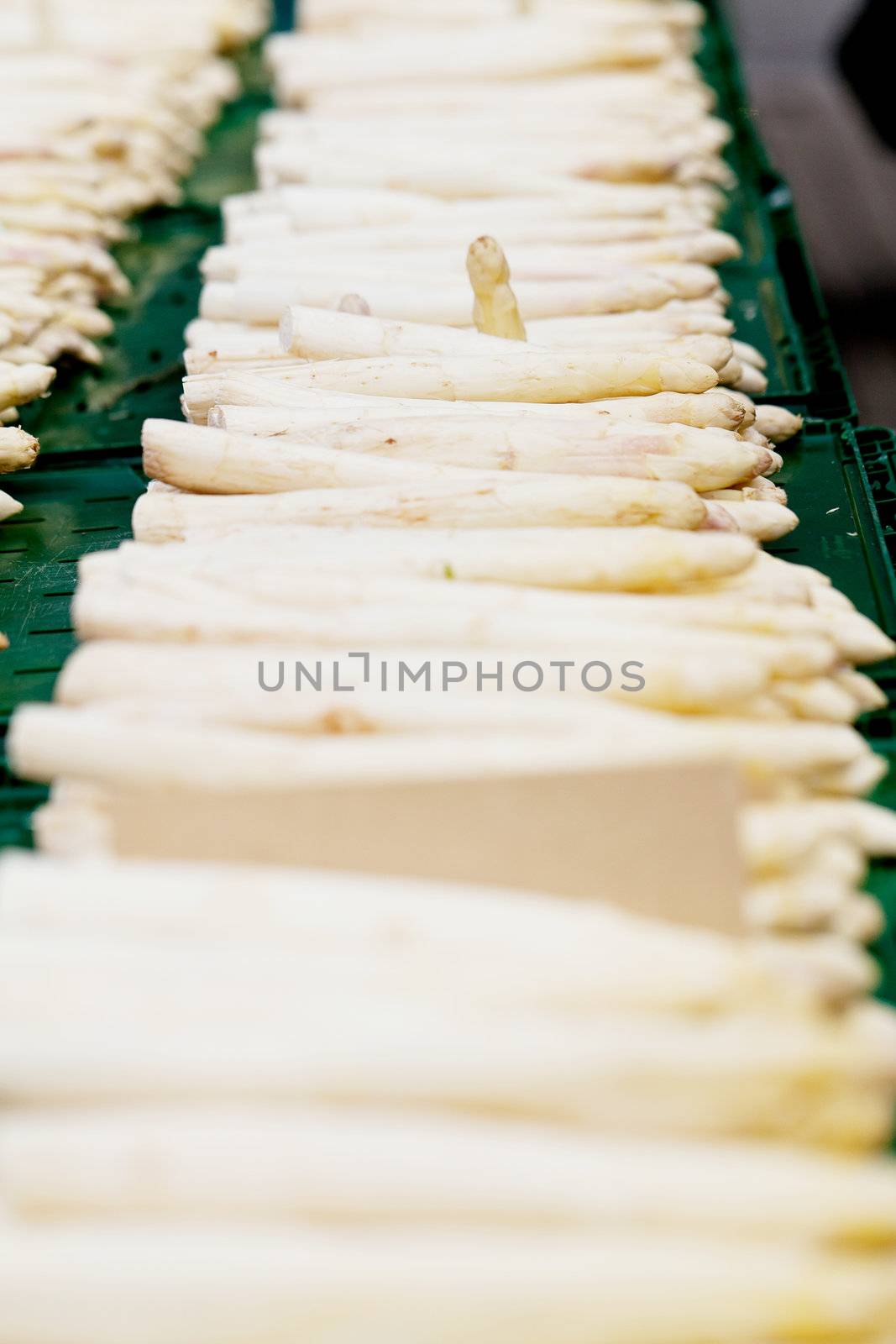 collection of fresh seasonal asparagus vegetable on market 