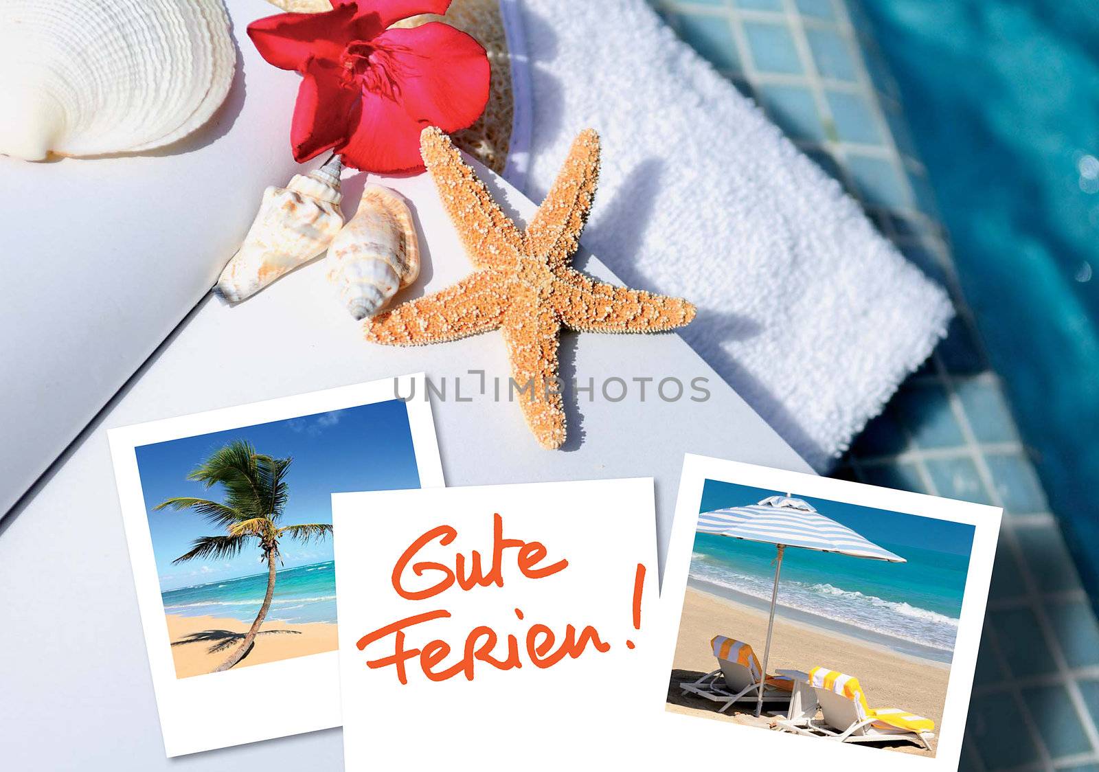 open book with starfish outdoor with swiming pool background