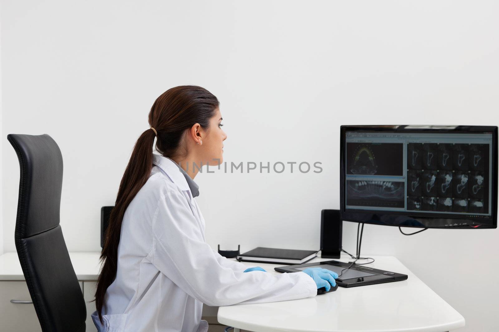 Dentist working on computer by leaf