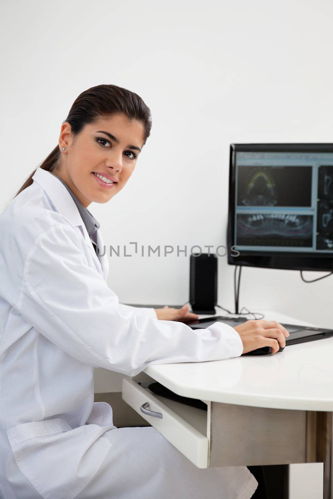 Female dentist working on computer by leaf