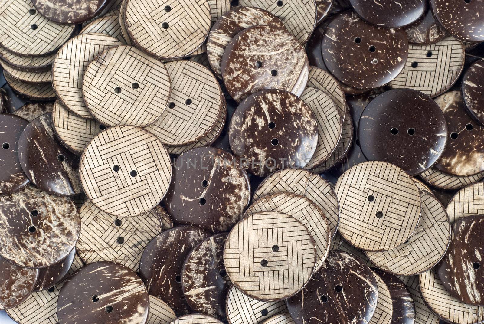 Garment coconut buttons by varbenov