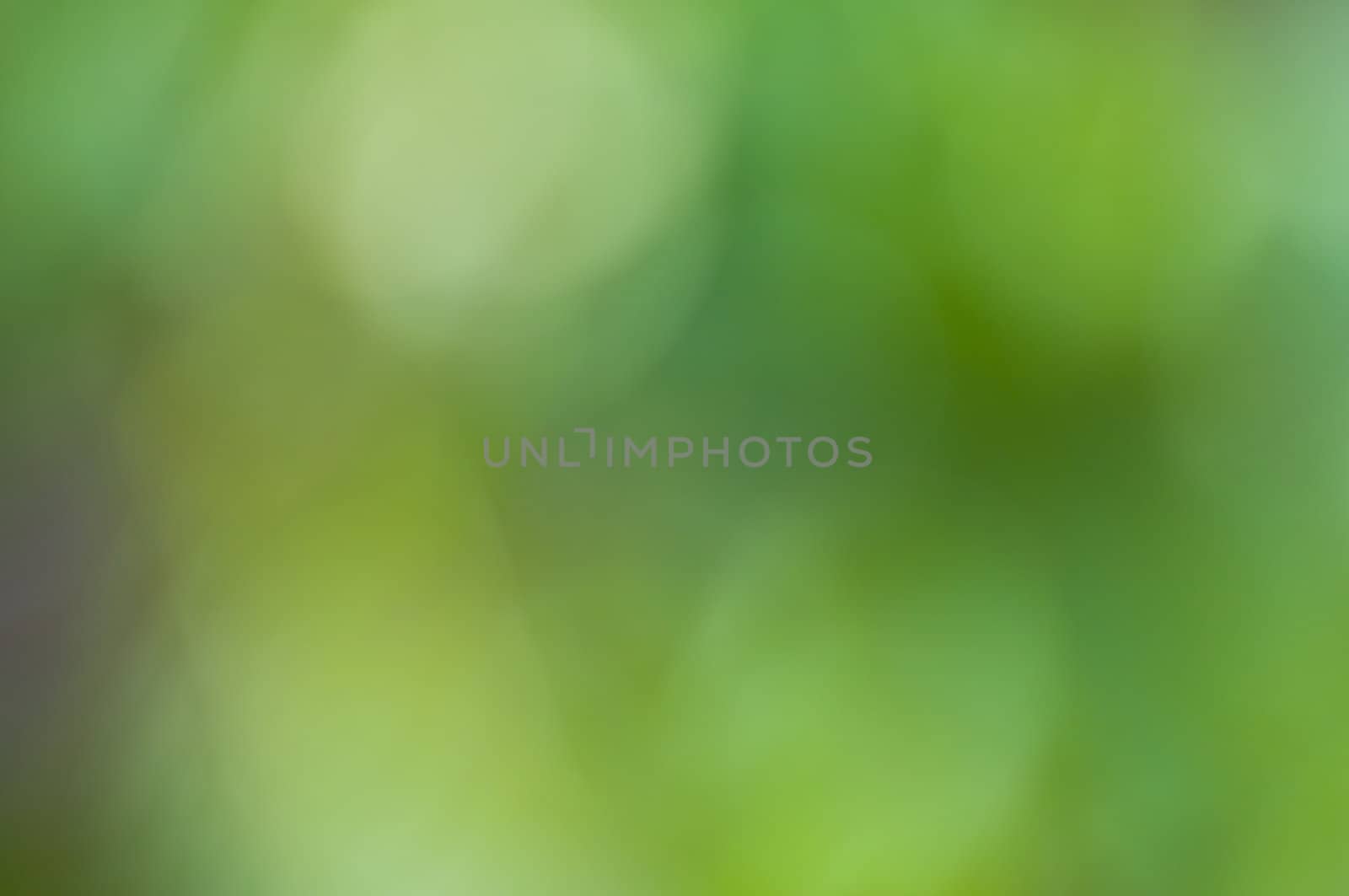 Defocus of green background by buffaloboy