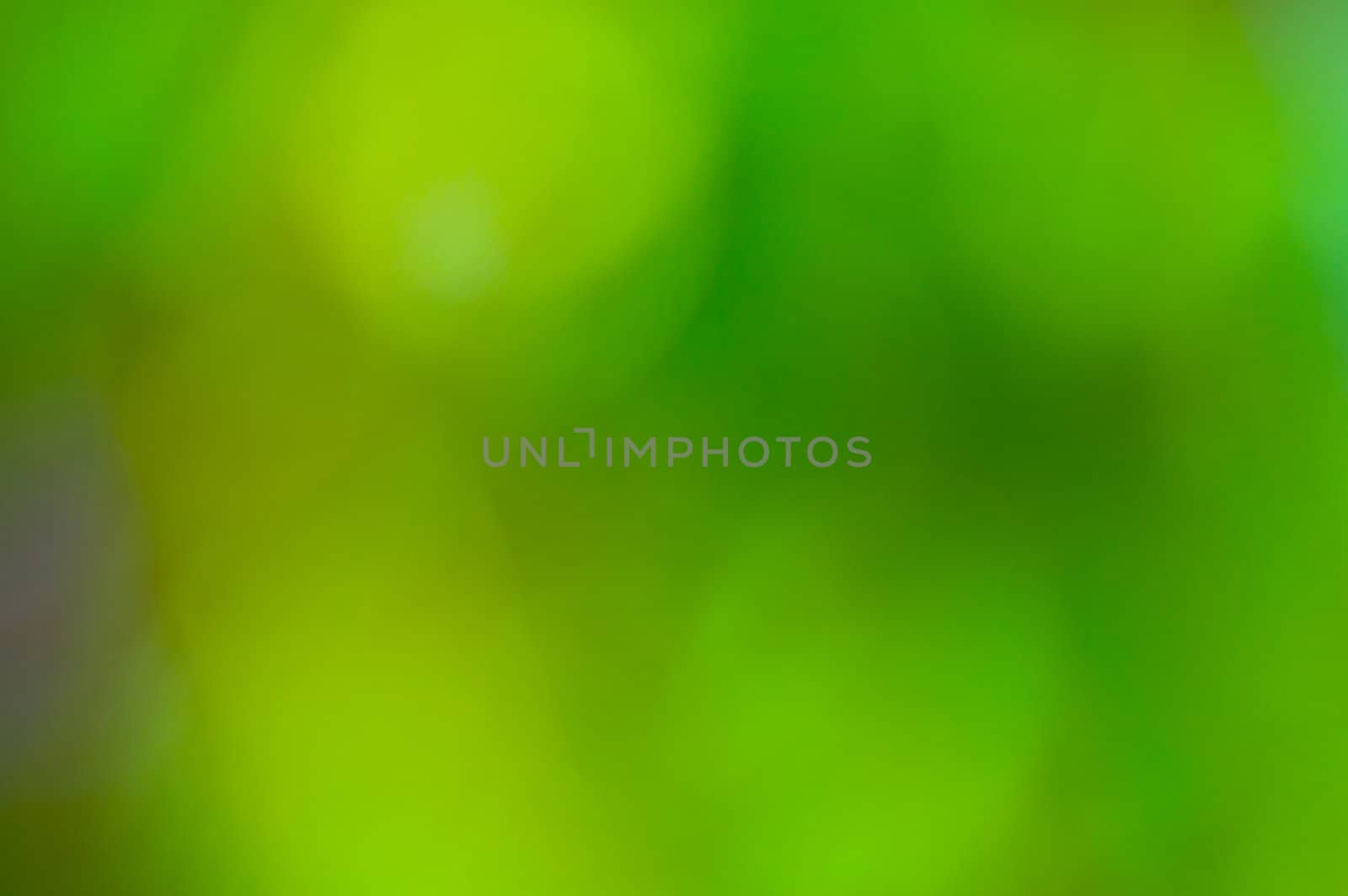 defocus of green background