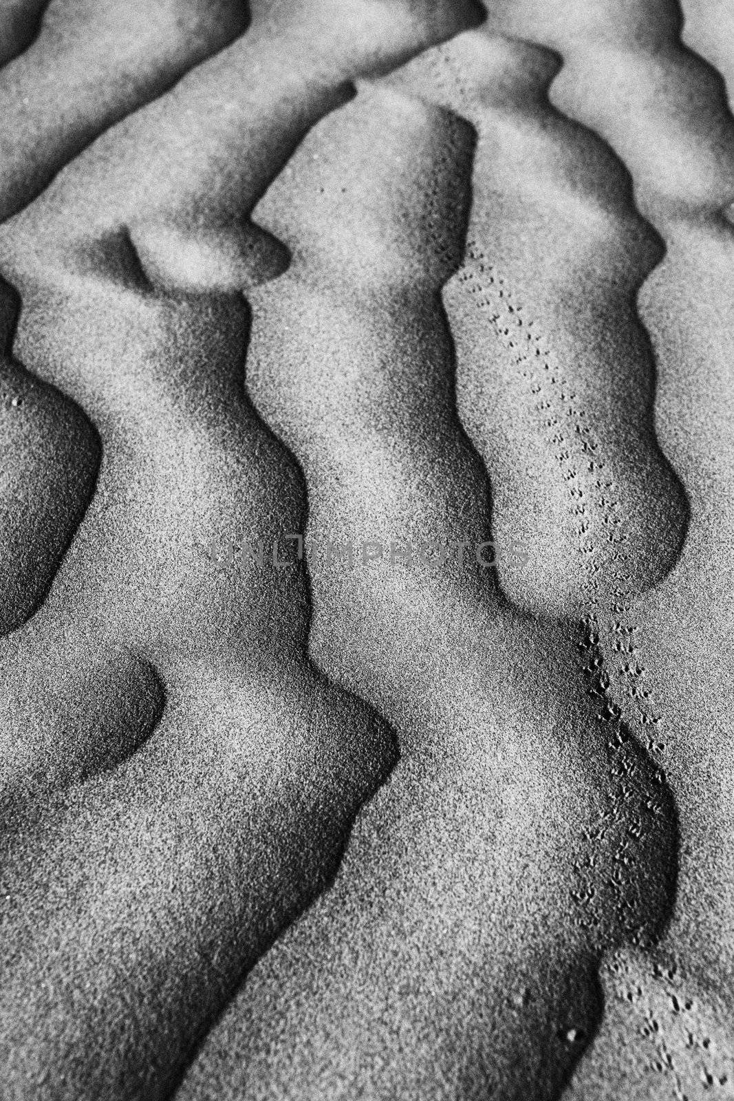 Beautiful Sand Dune Formations  by tobkatrina