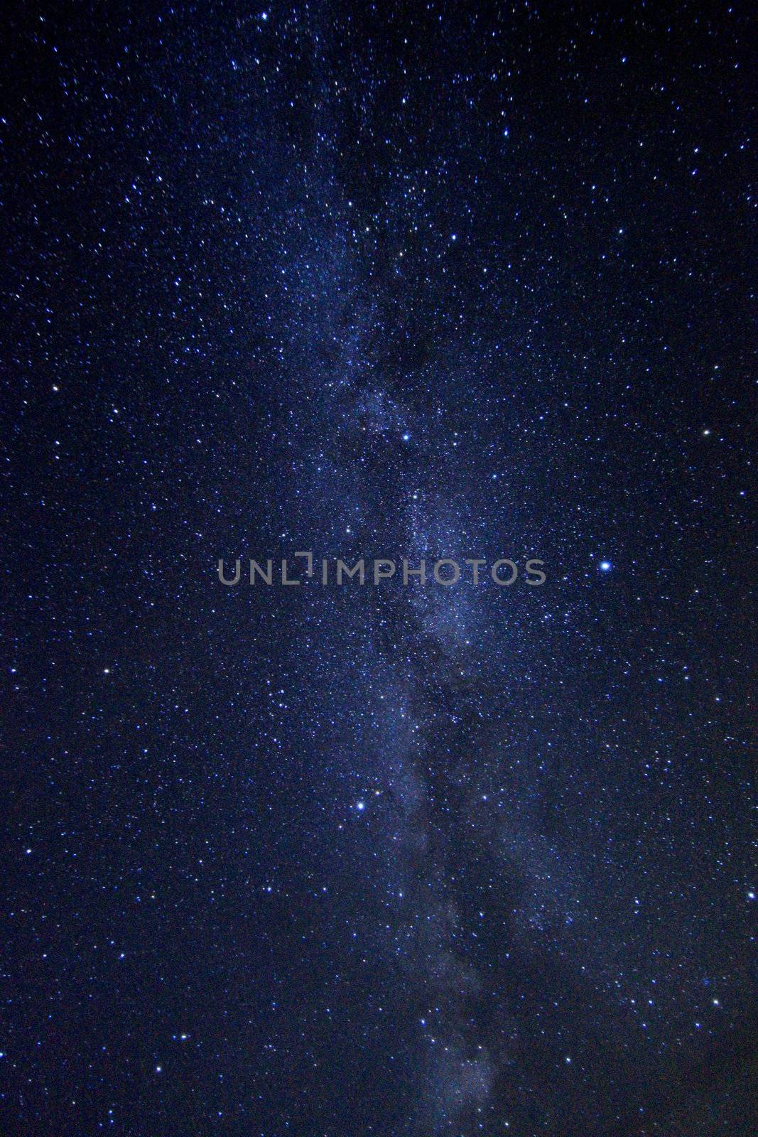 Time Lapse Image of the Night Stars by tobkatrina