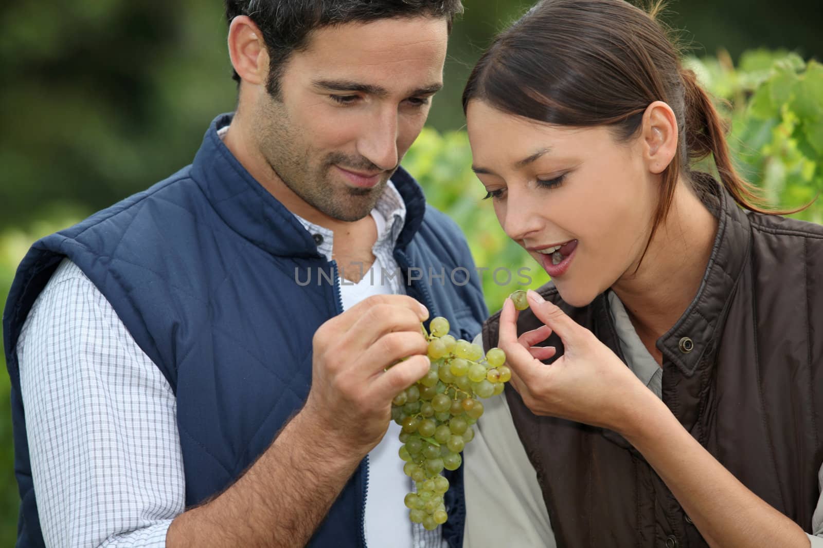 Winegrowers with bunch of grapes