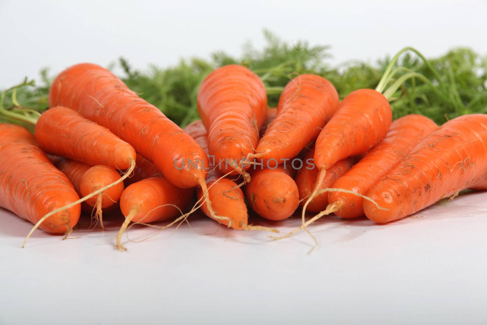 Carrots by phovoir