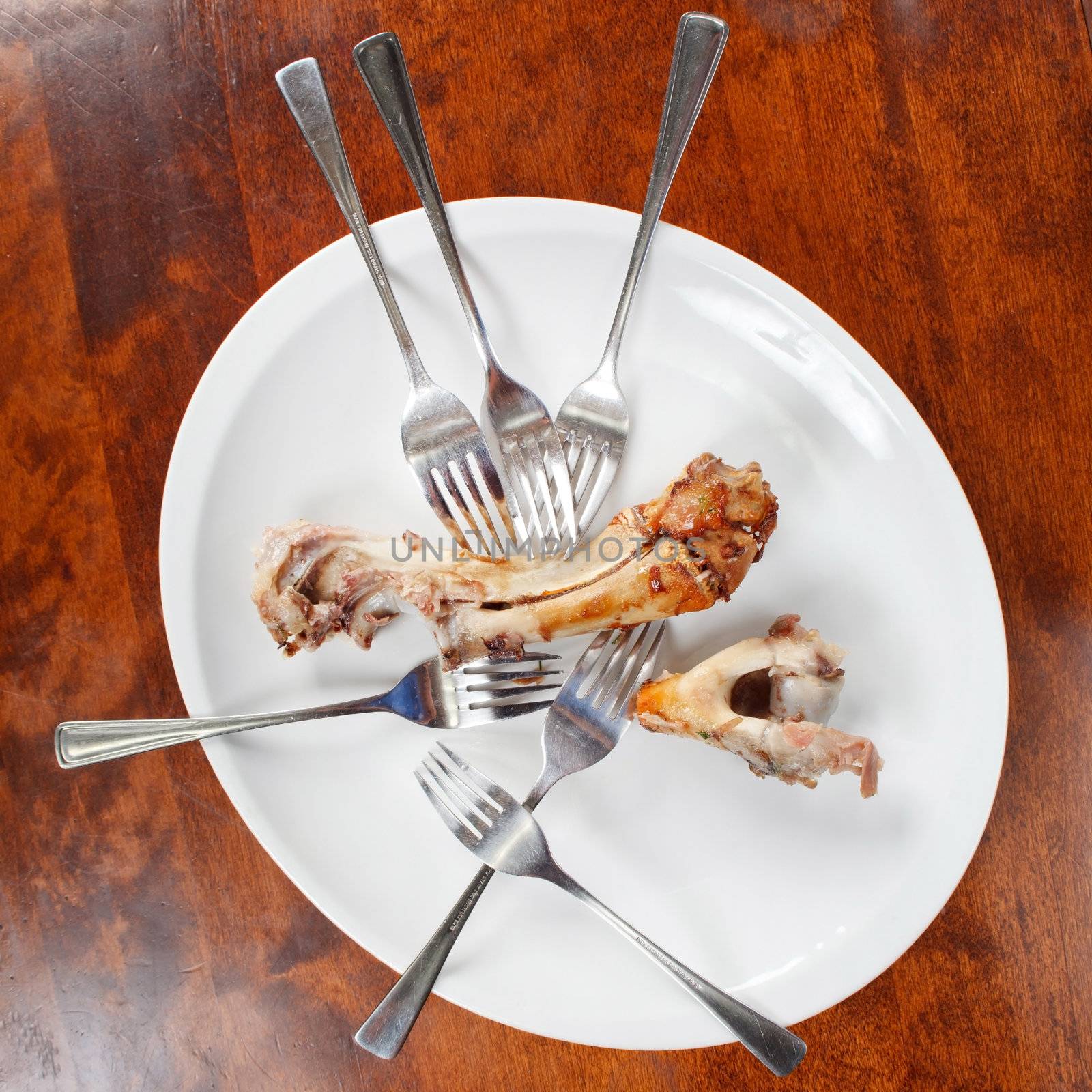 bones and forks on the plate by shebeko