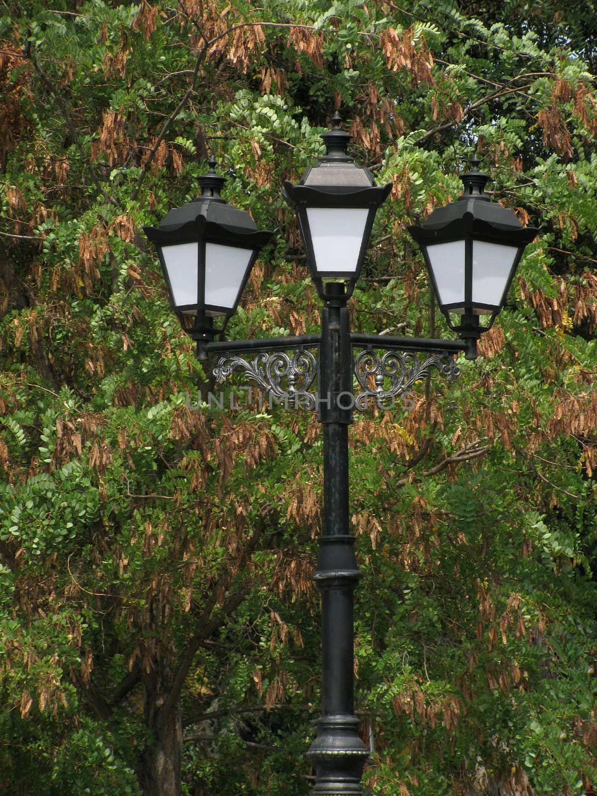 lantern in park by romantiche
