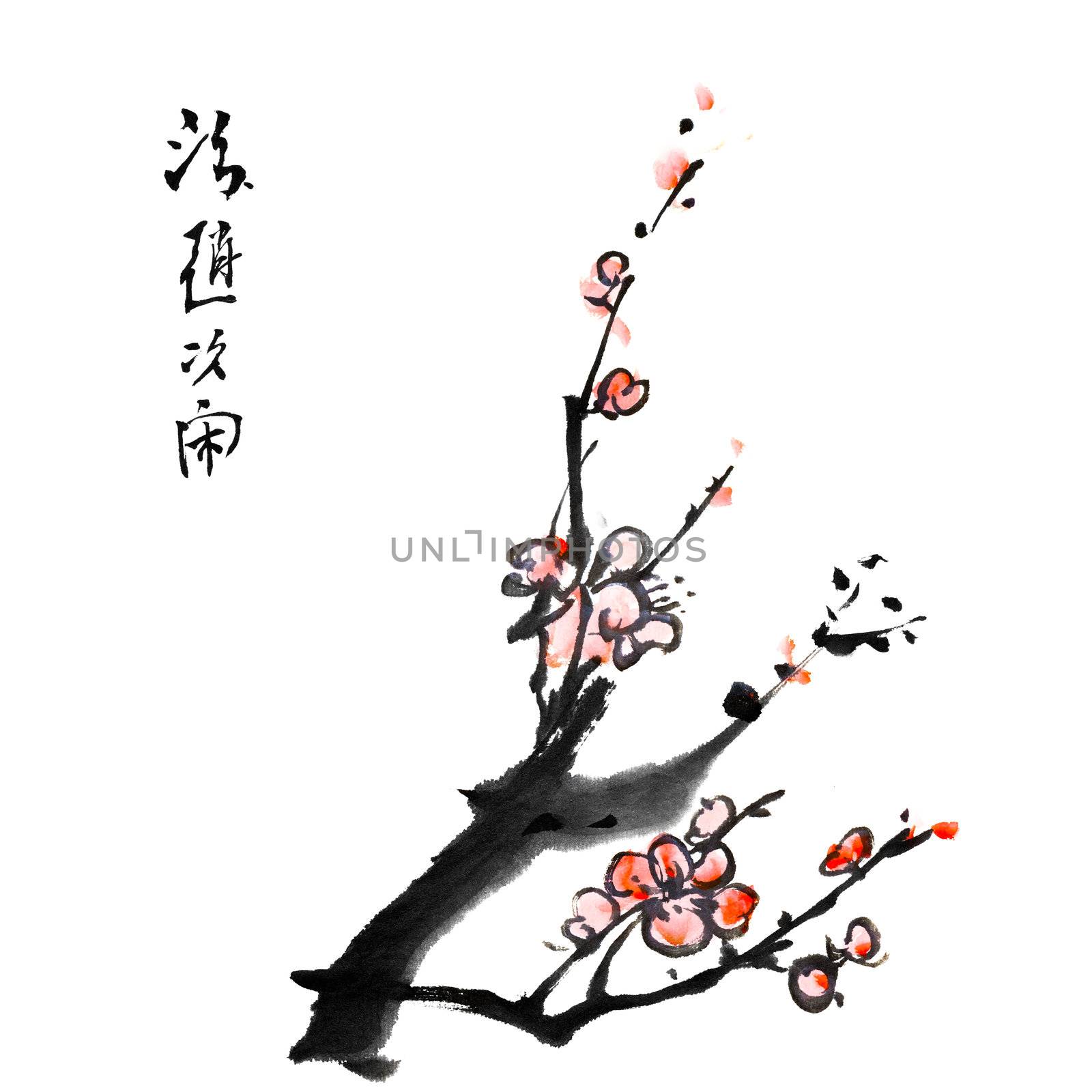 Chinese painting of plum blossom by elwynn