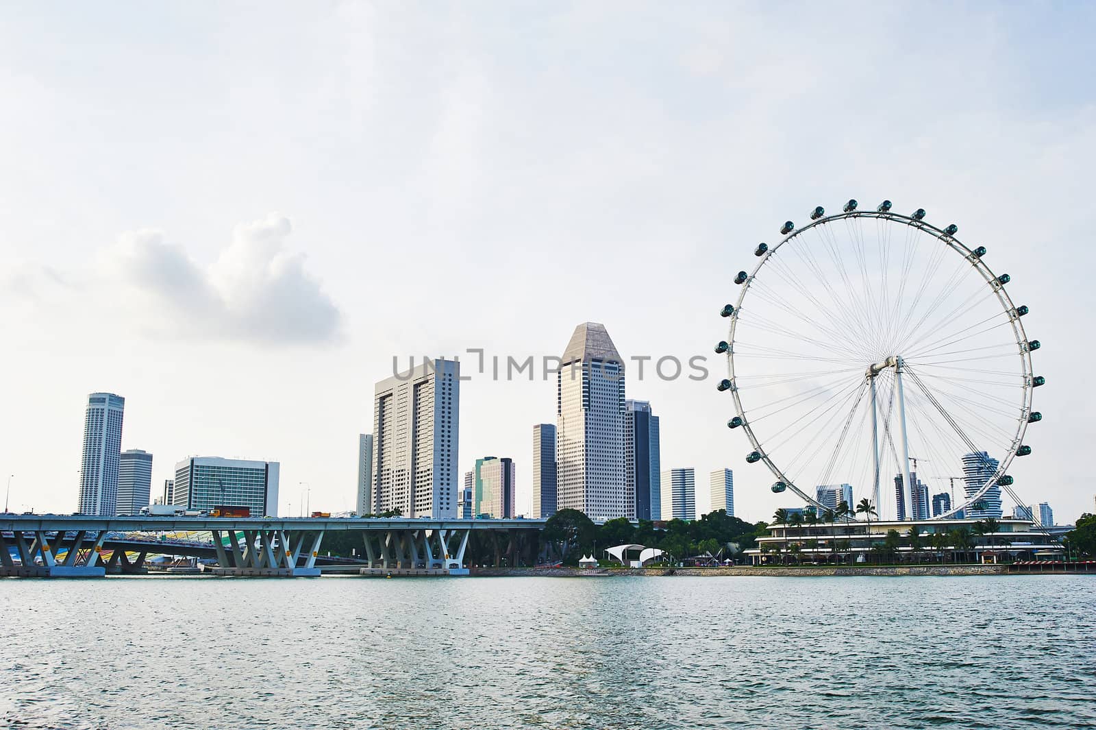 Skyline of Singapore with Flyer and modern buildings