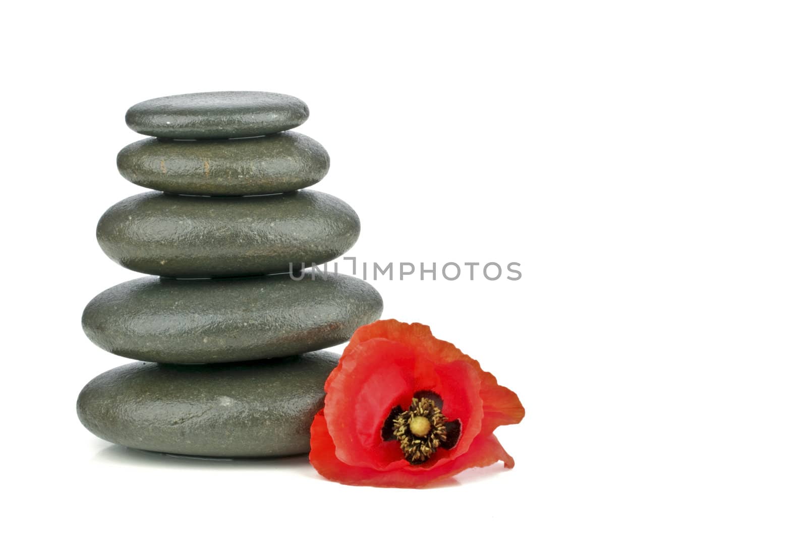 spa concept with zen stones and flower