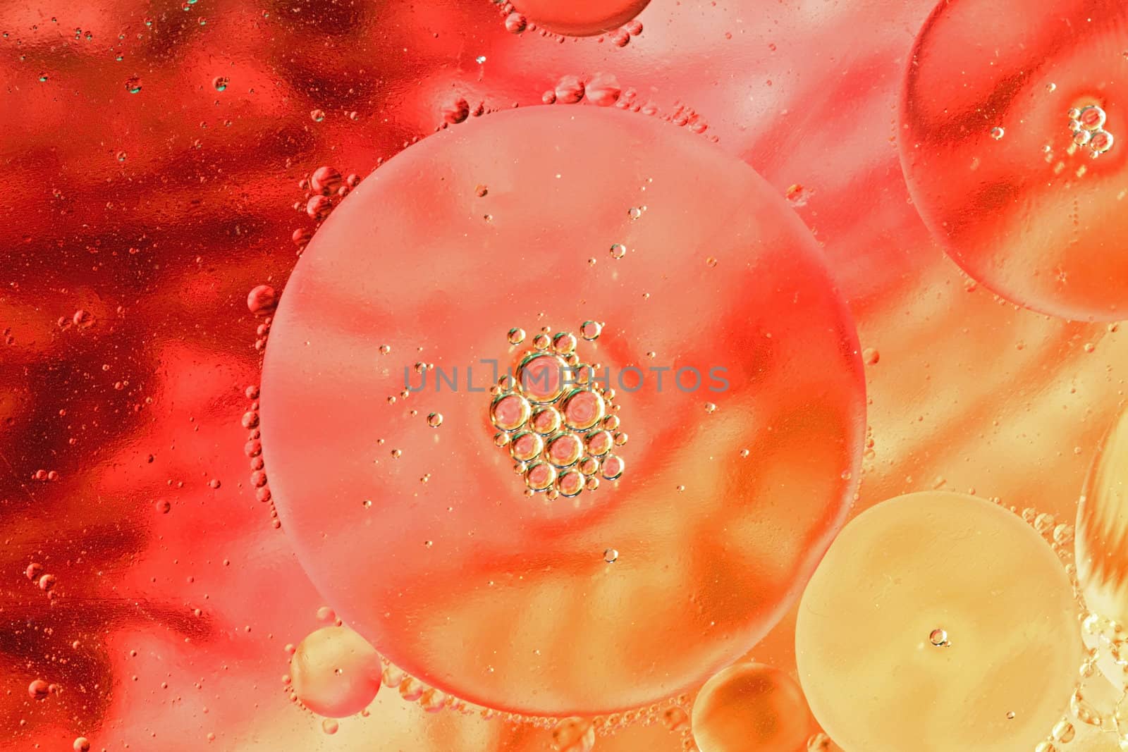 Oil drops on a water surface