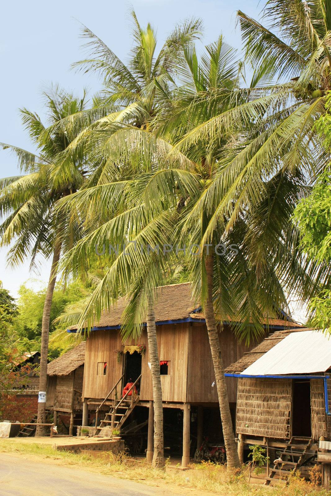 Stilt houses in a small village near Kratie, Cambodia by donya_nedomam