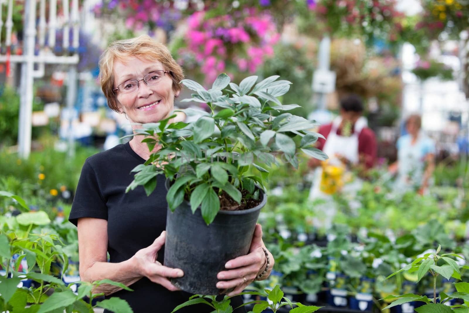 Smiling senior woman holding potted plant by leaf