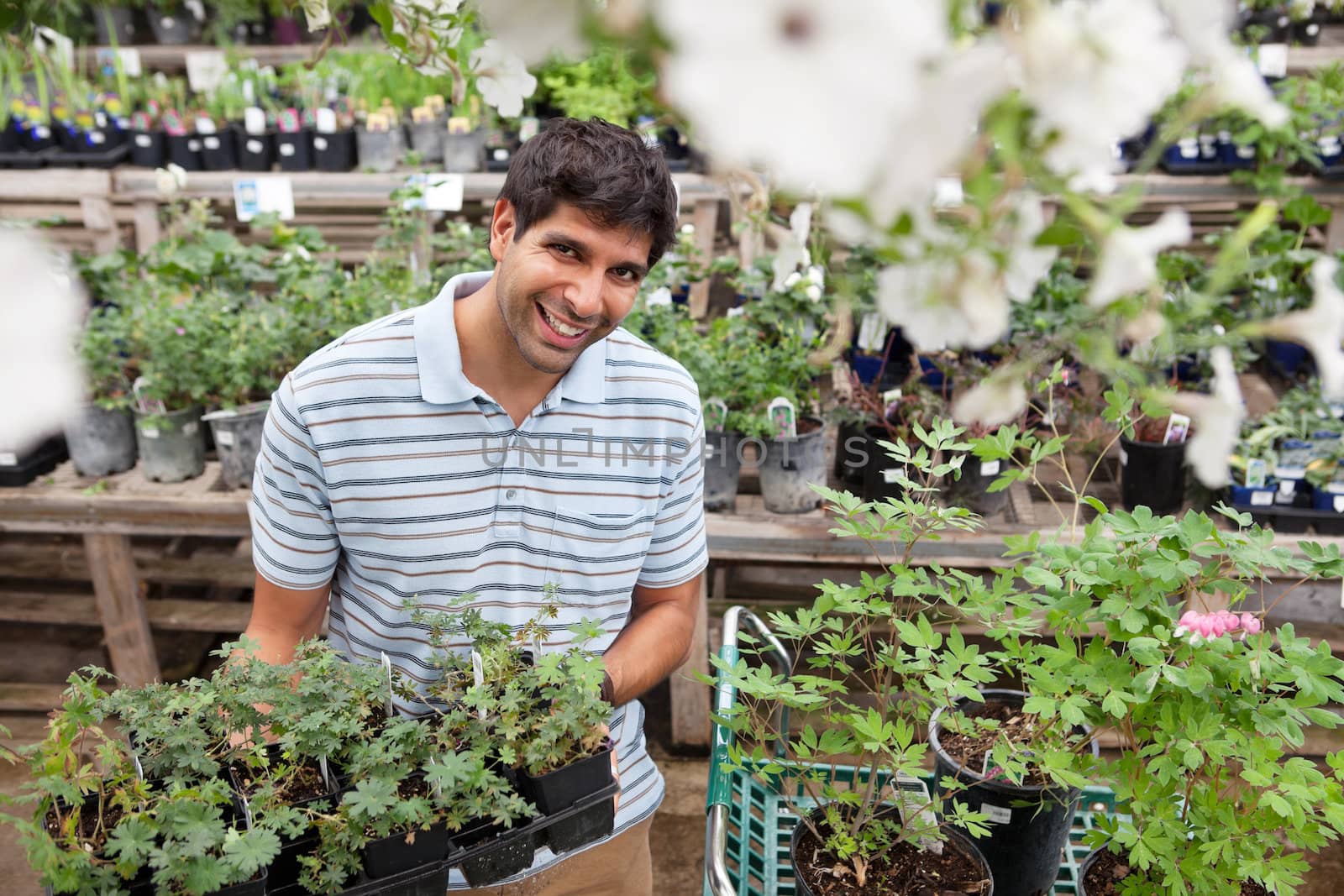 Portrait of smiling young man holding rack of potted plants