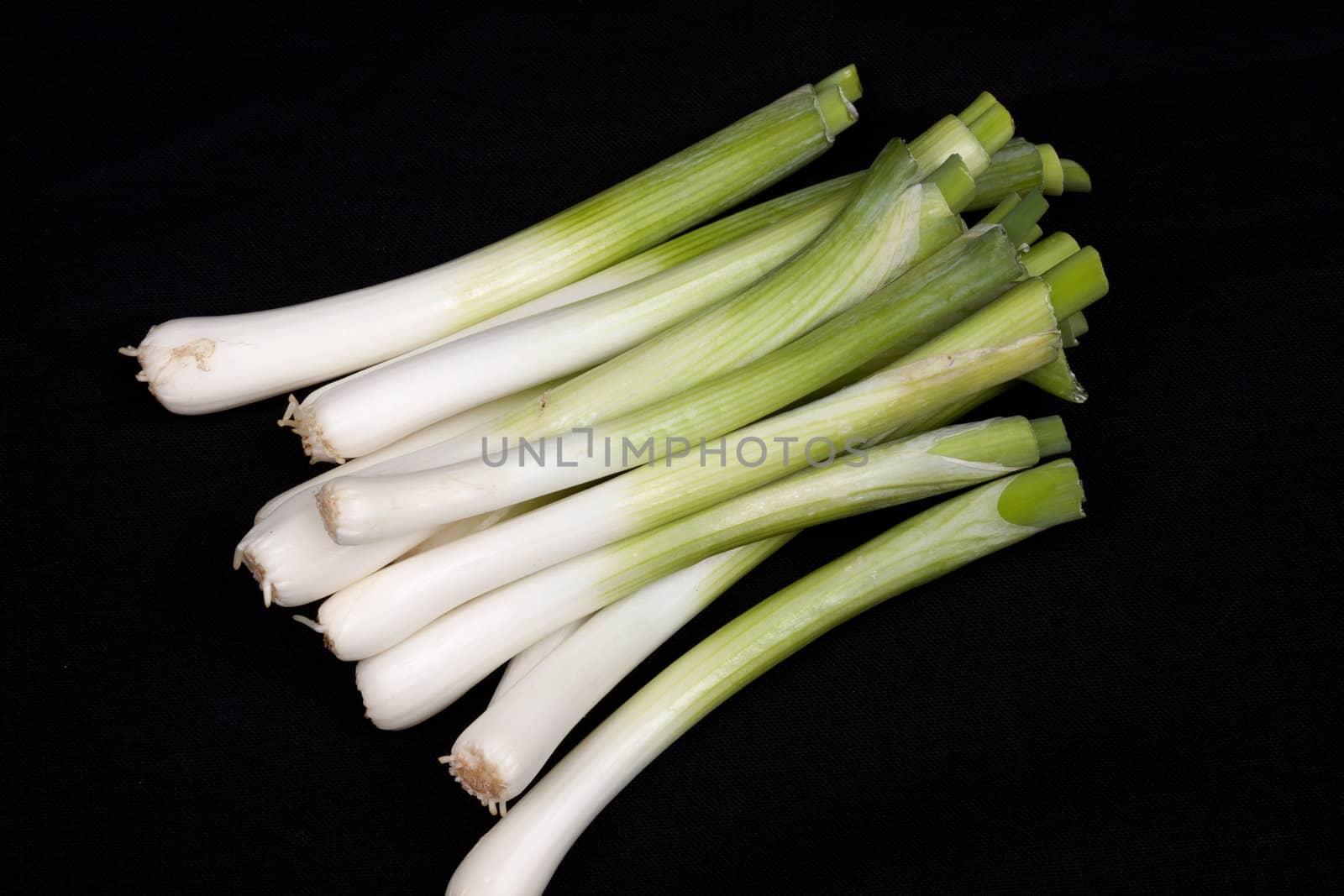 Fresh baby  leek on isolated on a black background