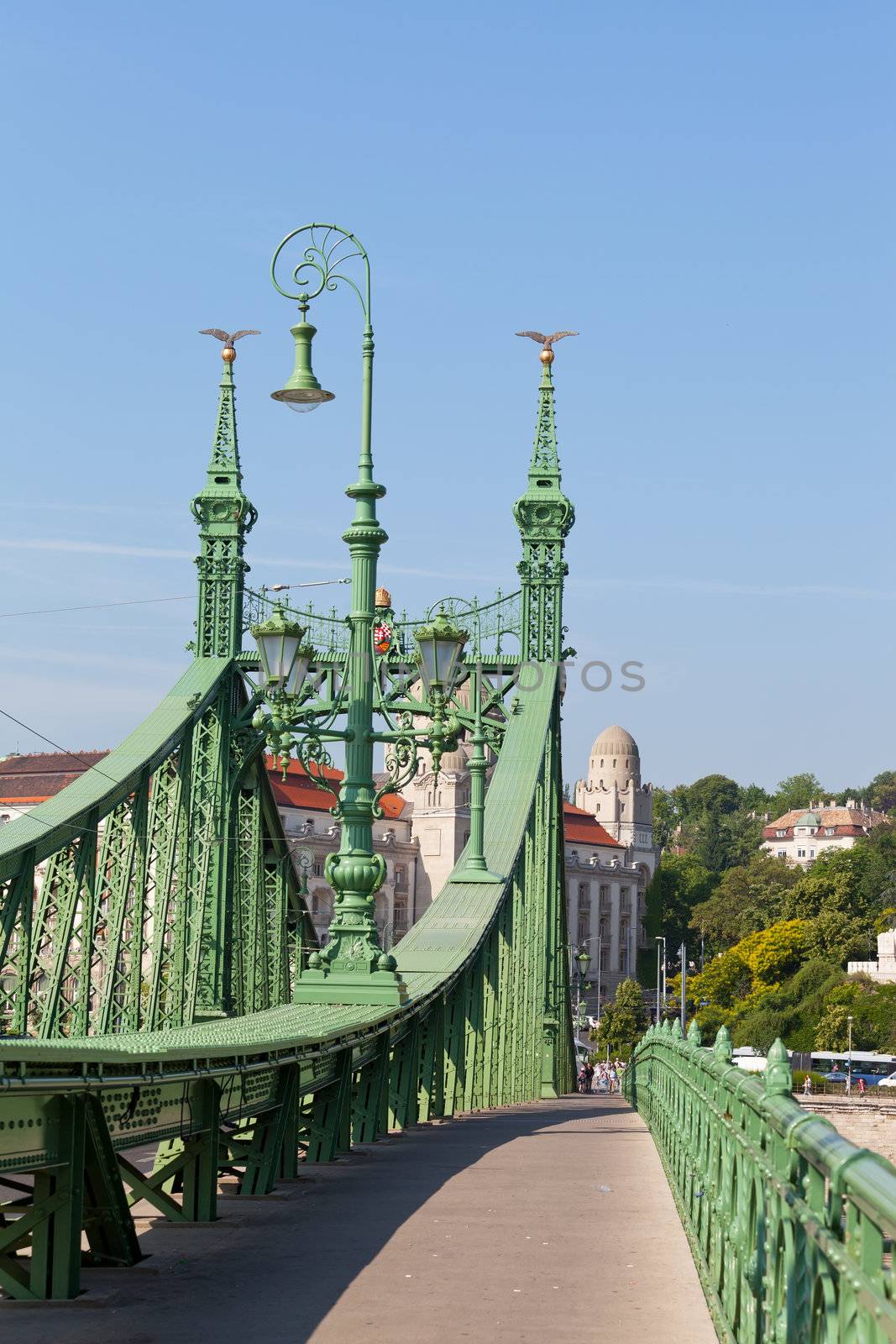 Budapest, Hungary, view of Freedom bridge