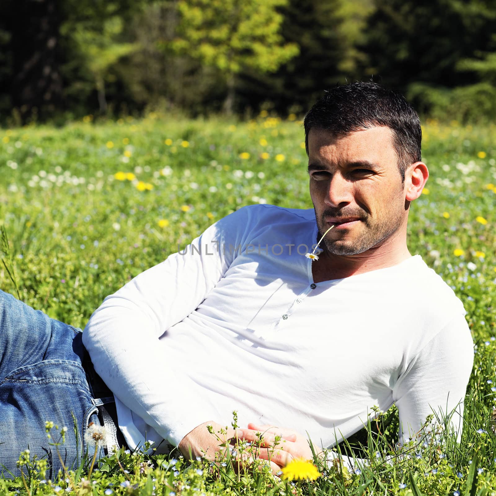 man with flower on the grass in a park