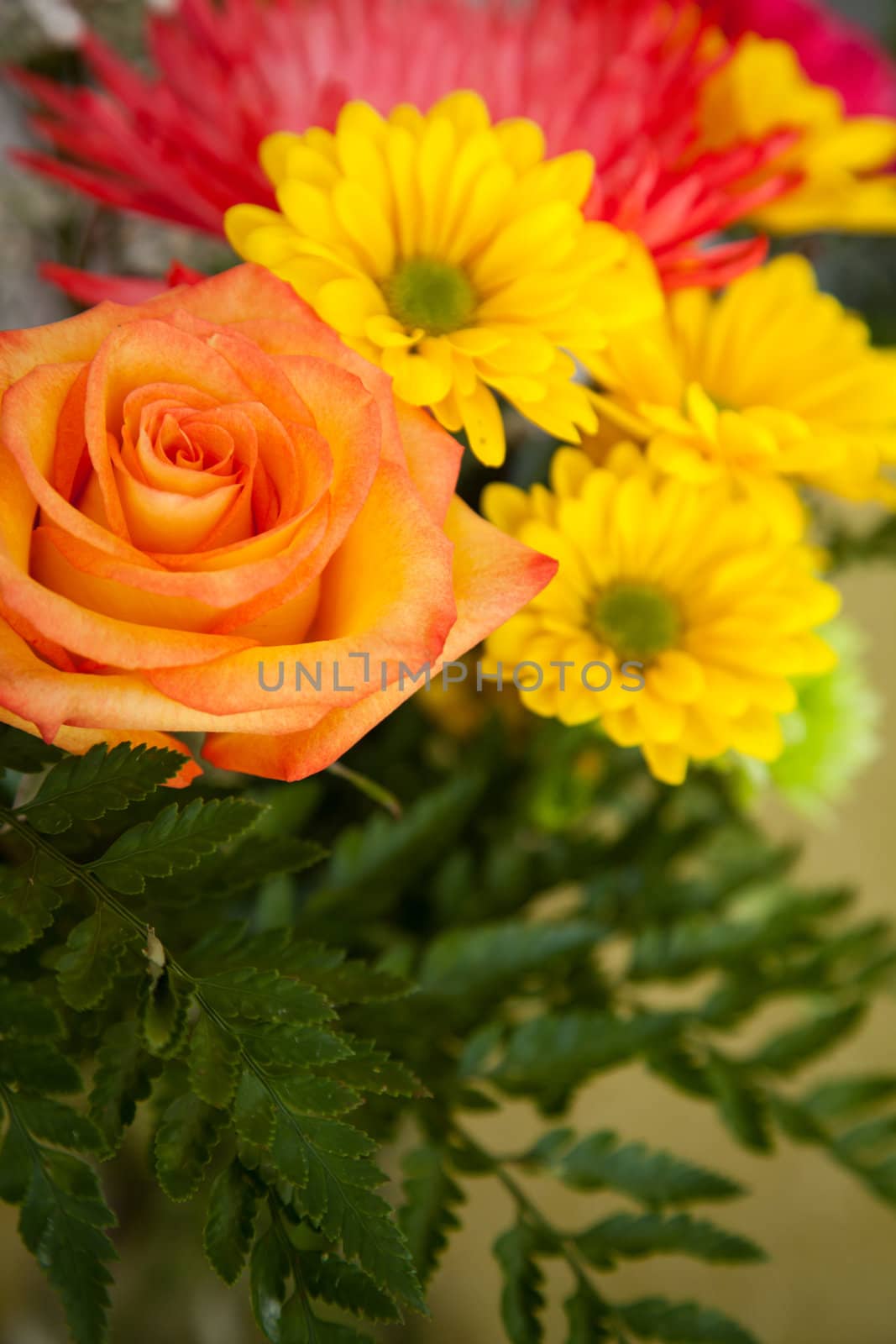 Mixed flowers closeup