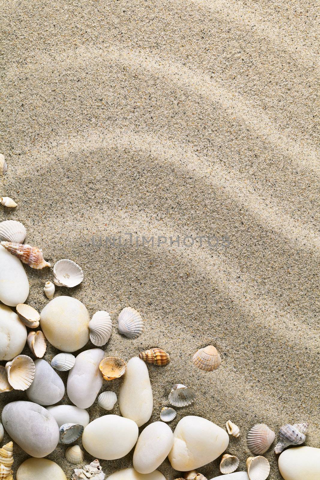Sandy beach background with shells and stones. Sand texture for summer with copy space. Macro shot