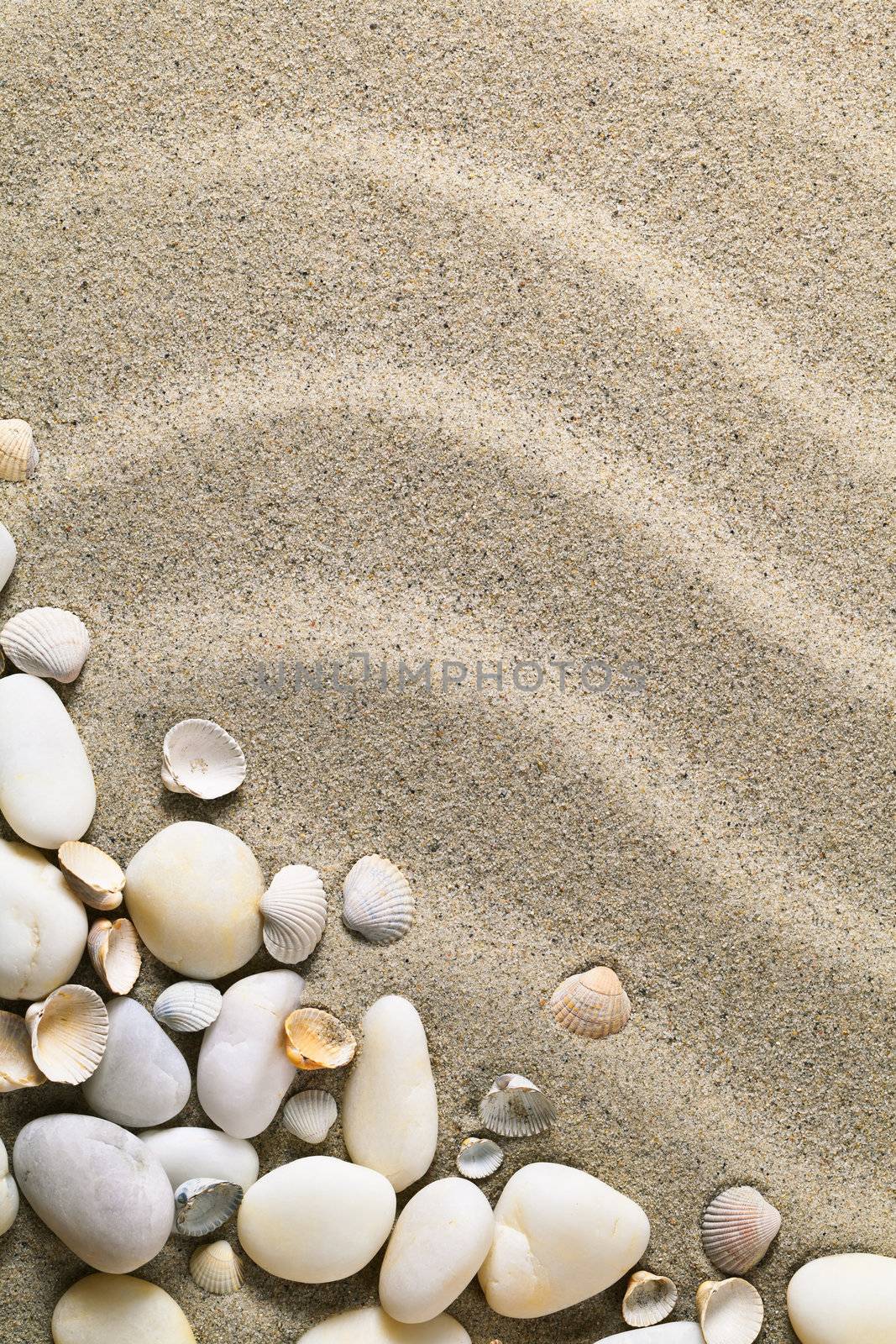 Sand background with shells and stones. Sandy beach texture for summer with copy space. Macro shot