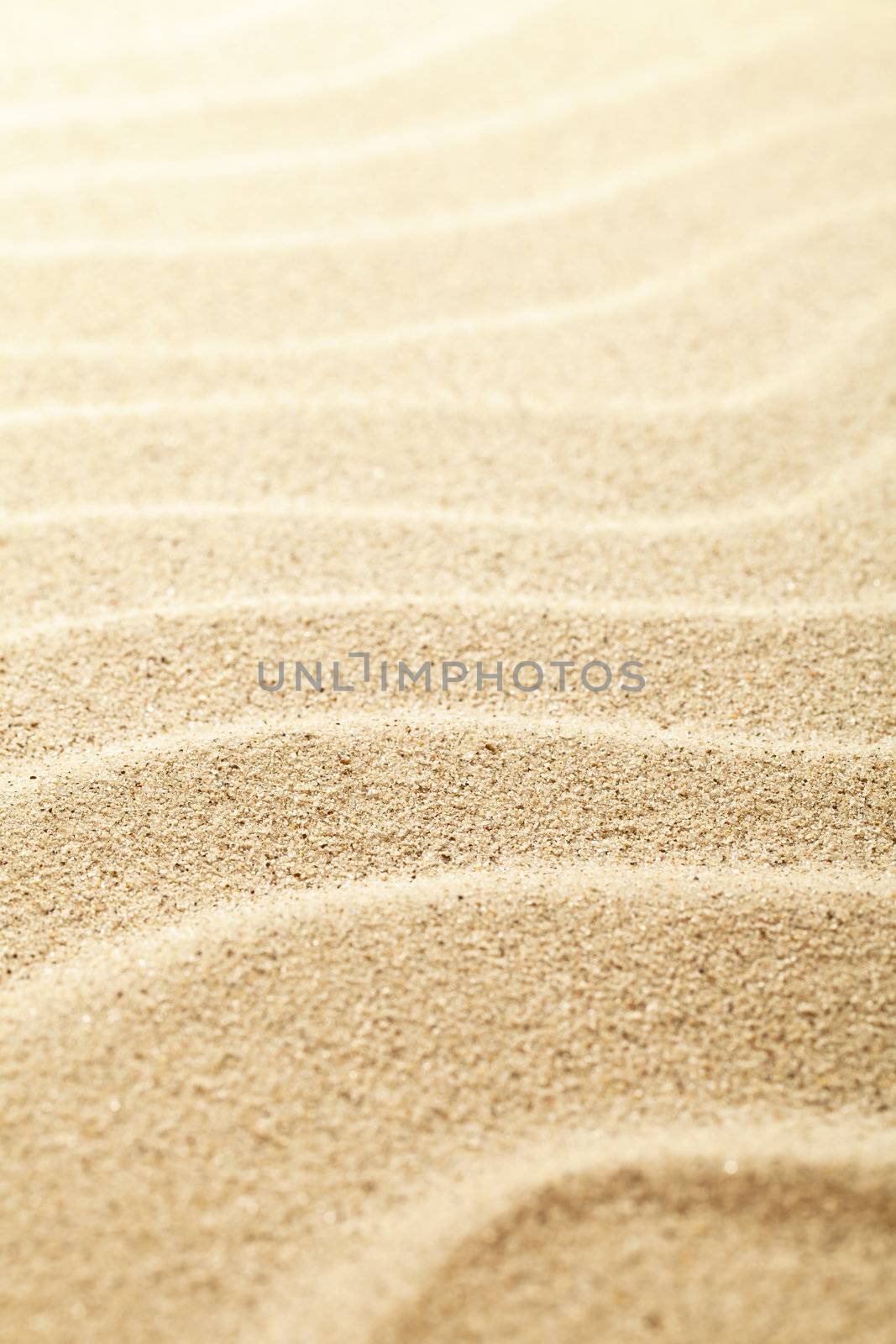 Sandy background. Sand beach texture for summer. Macro shot. Copy space