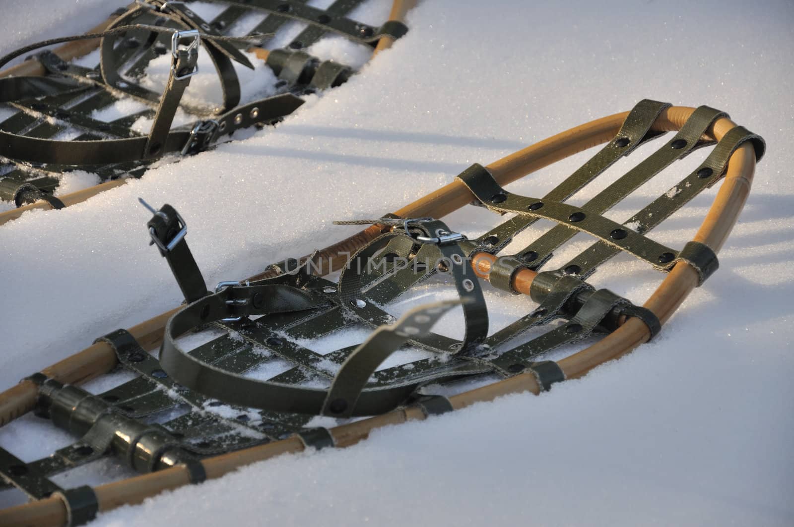 Photo of snowshoes - you can walk on snow with them.