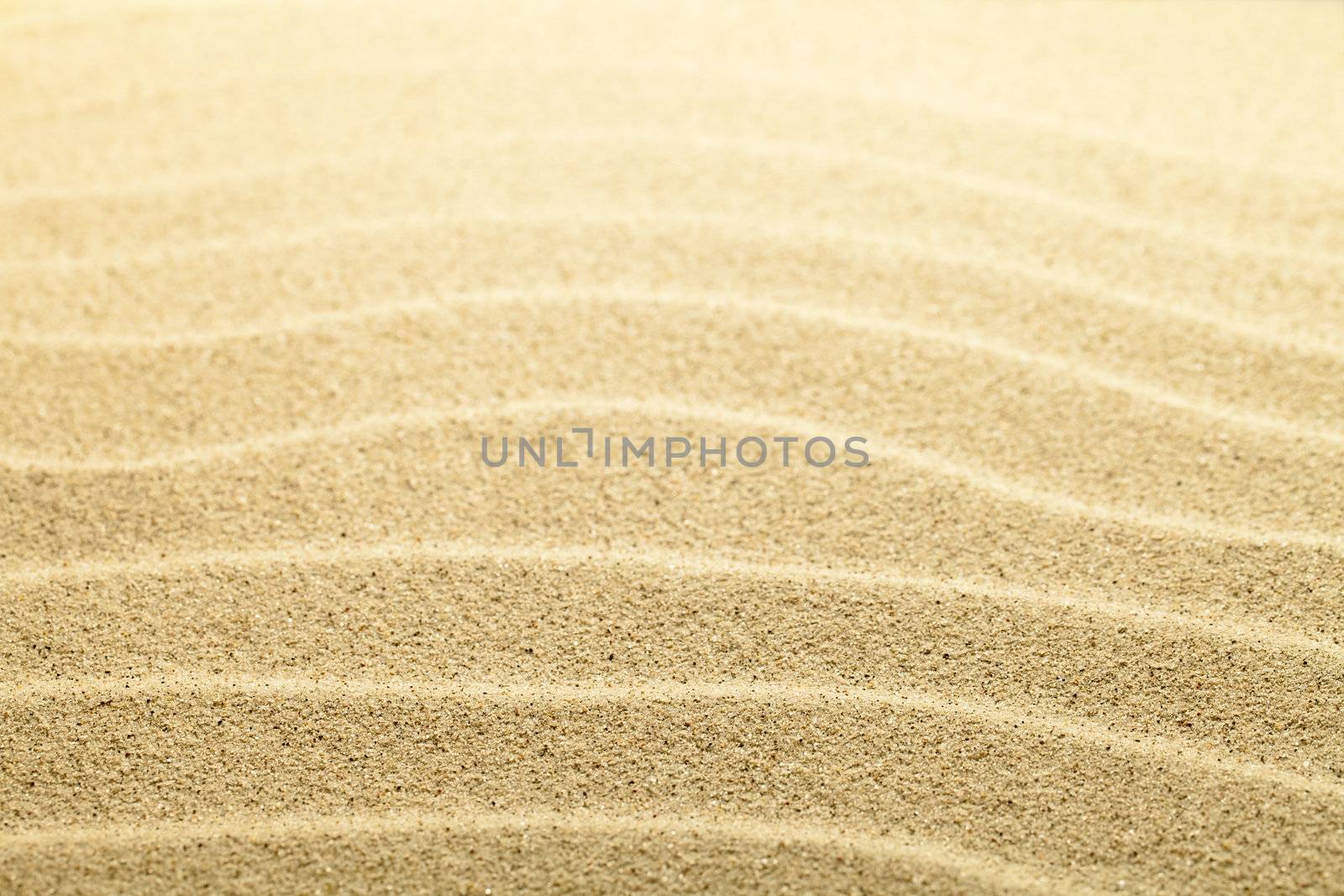 Sand background. Summer beach close up view