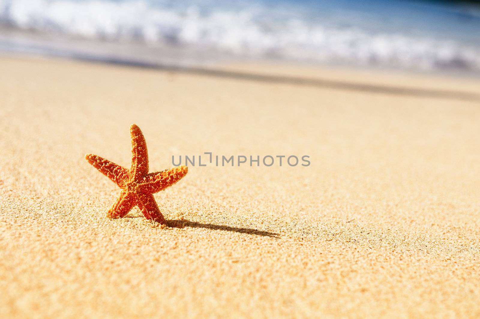 Summer vacations - starfish on sunset sea sand beach