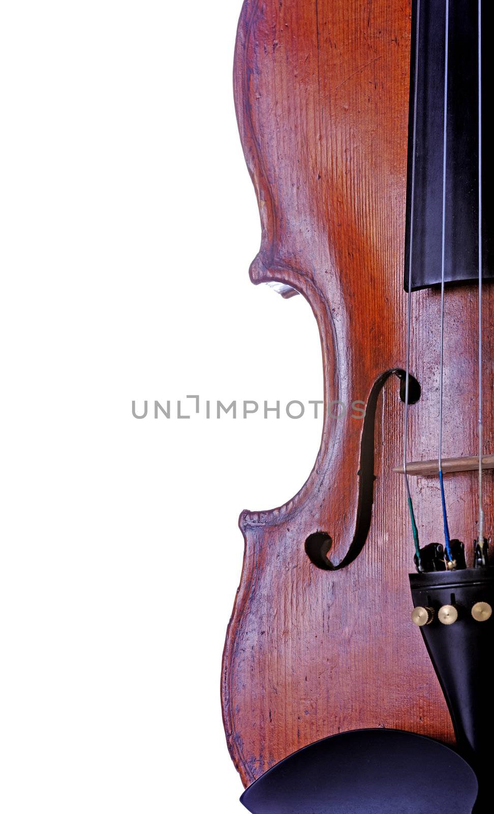 Violin on white by Roka