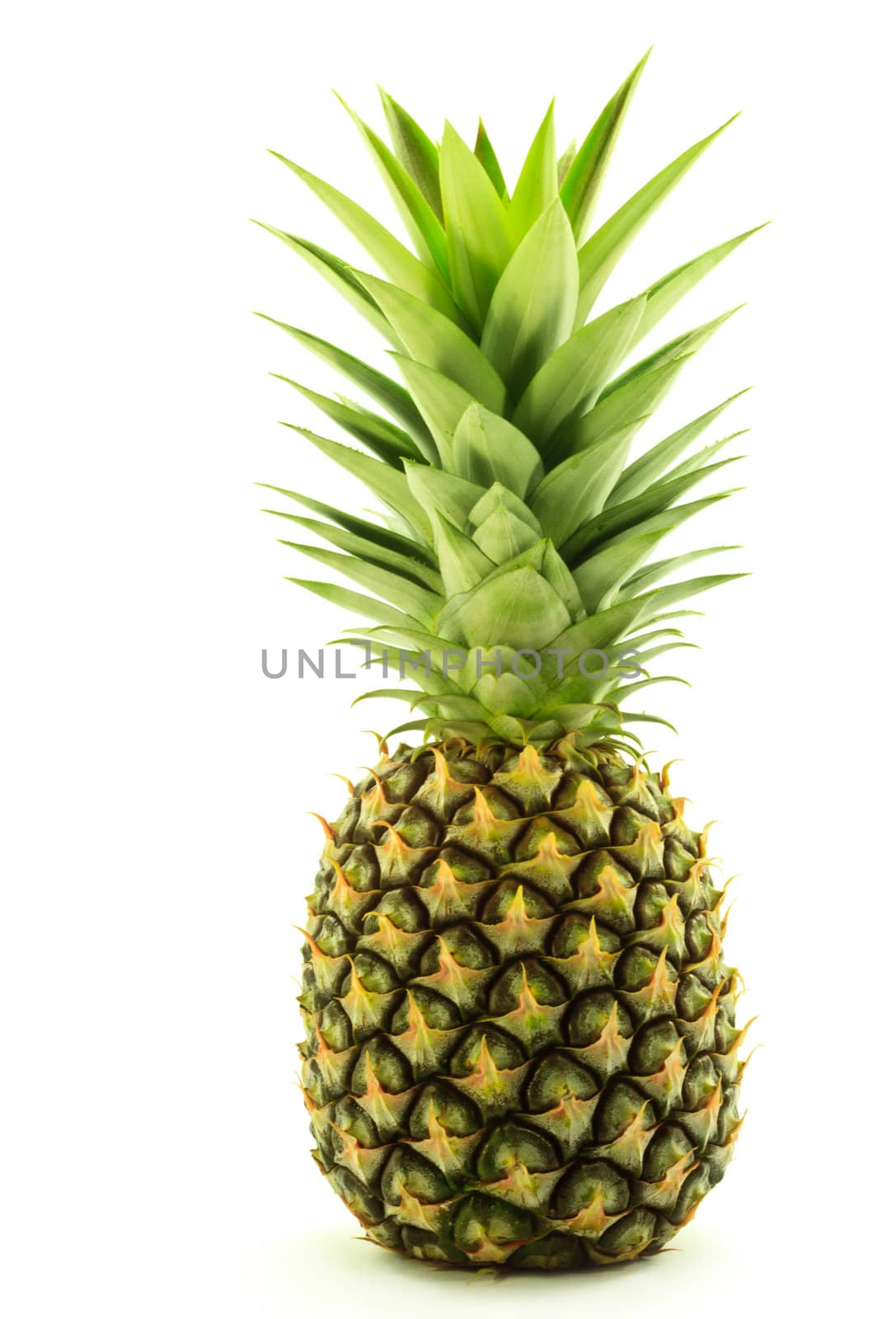 Fresh pineapple on white background