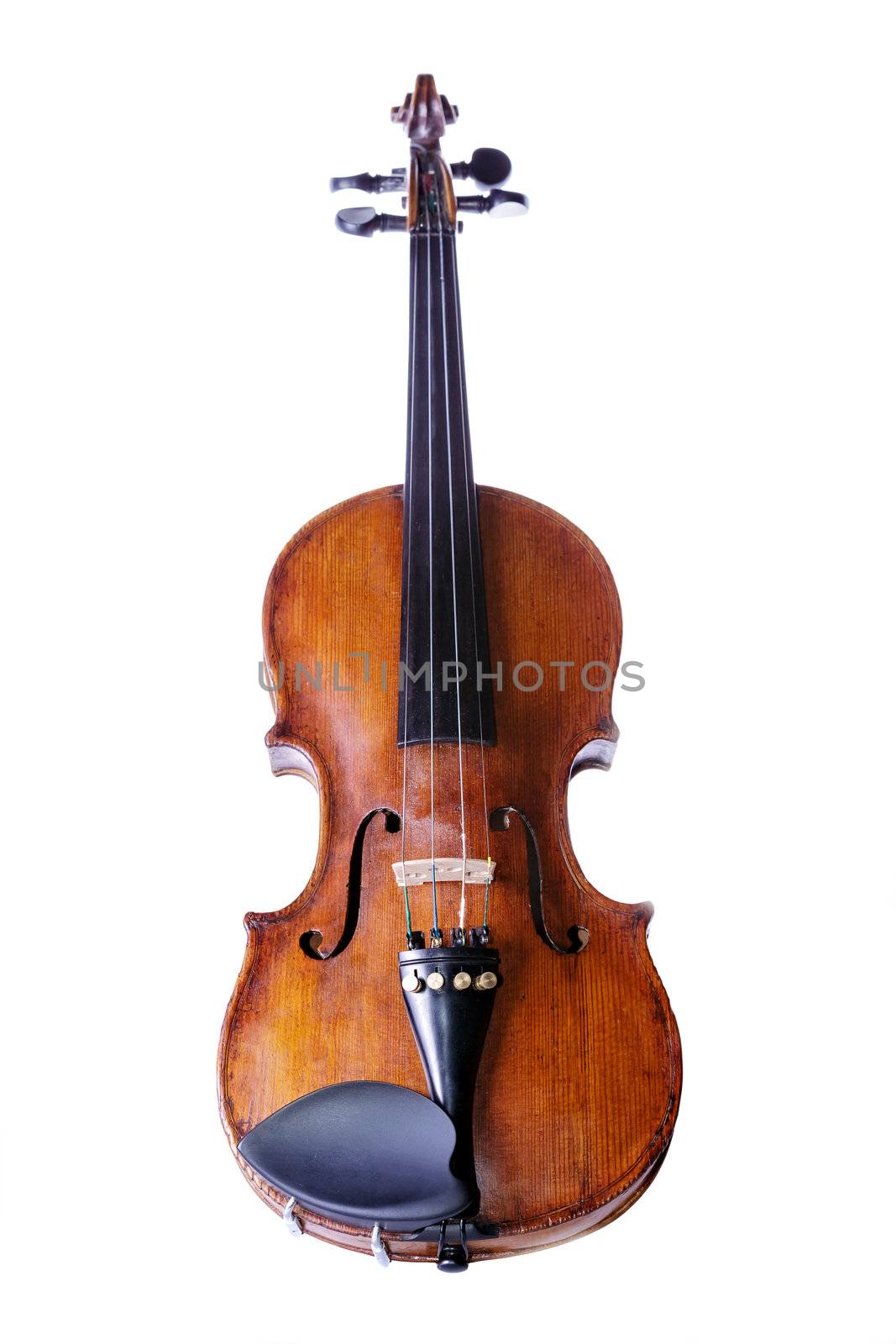 Violin isolated on white