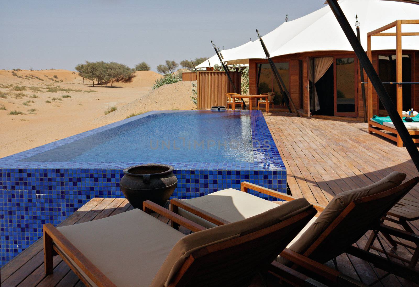 Peaceful relaxing territory on resort in the Emirates