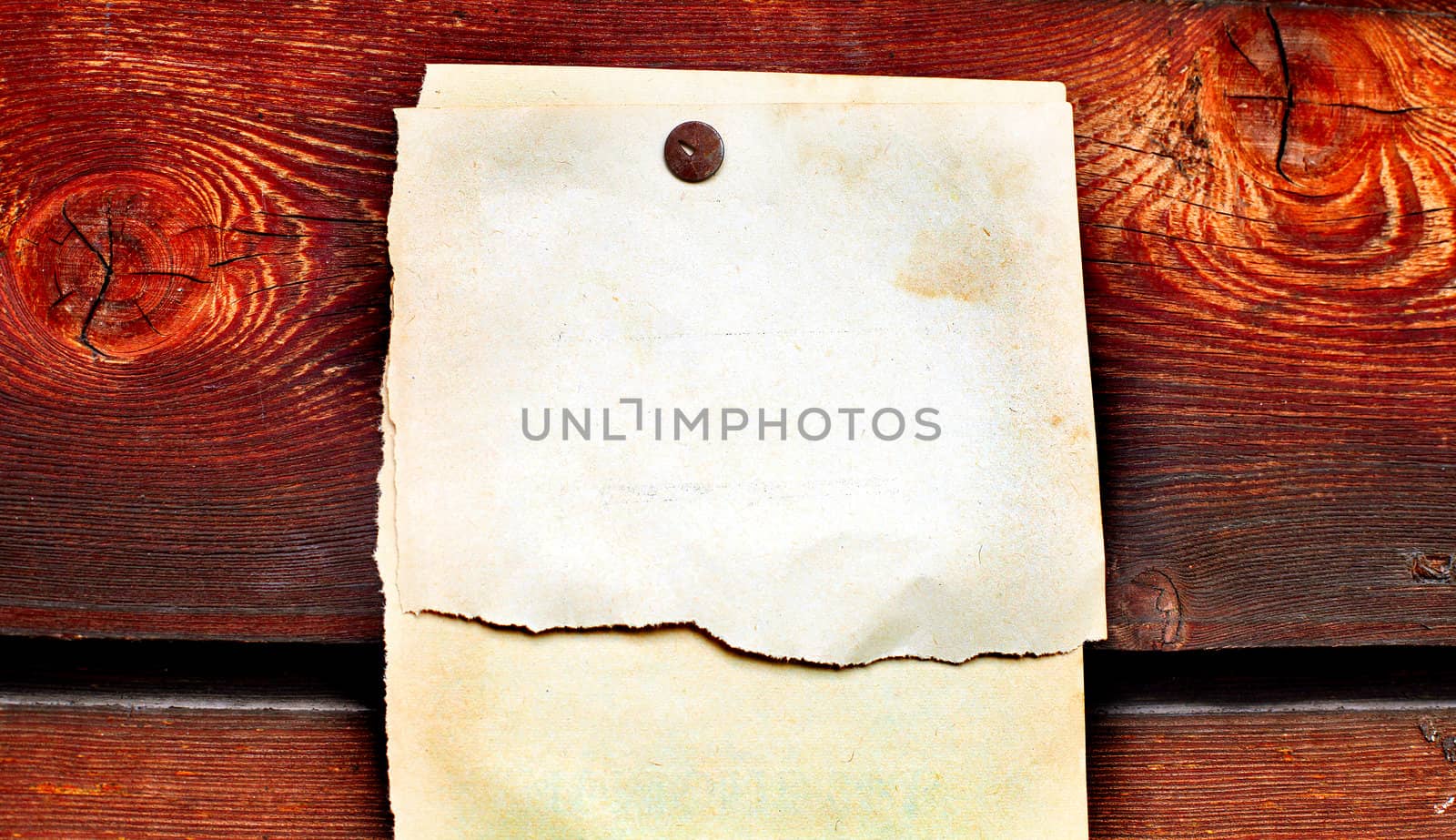 blank paper on wooden background by sabphoto