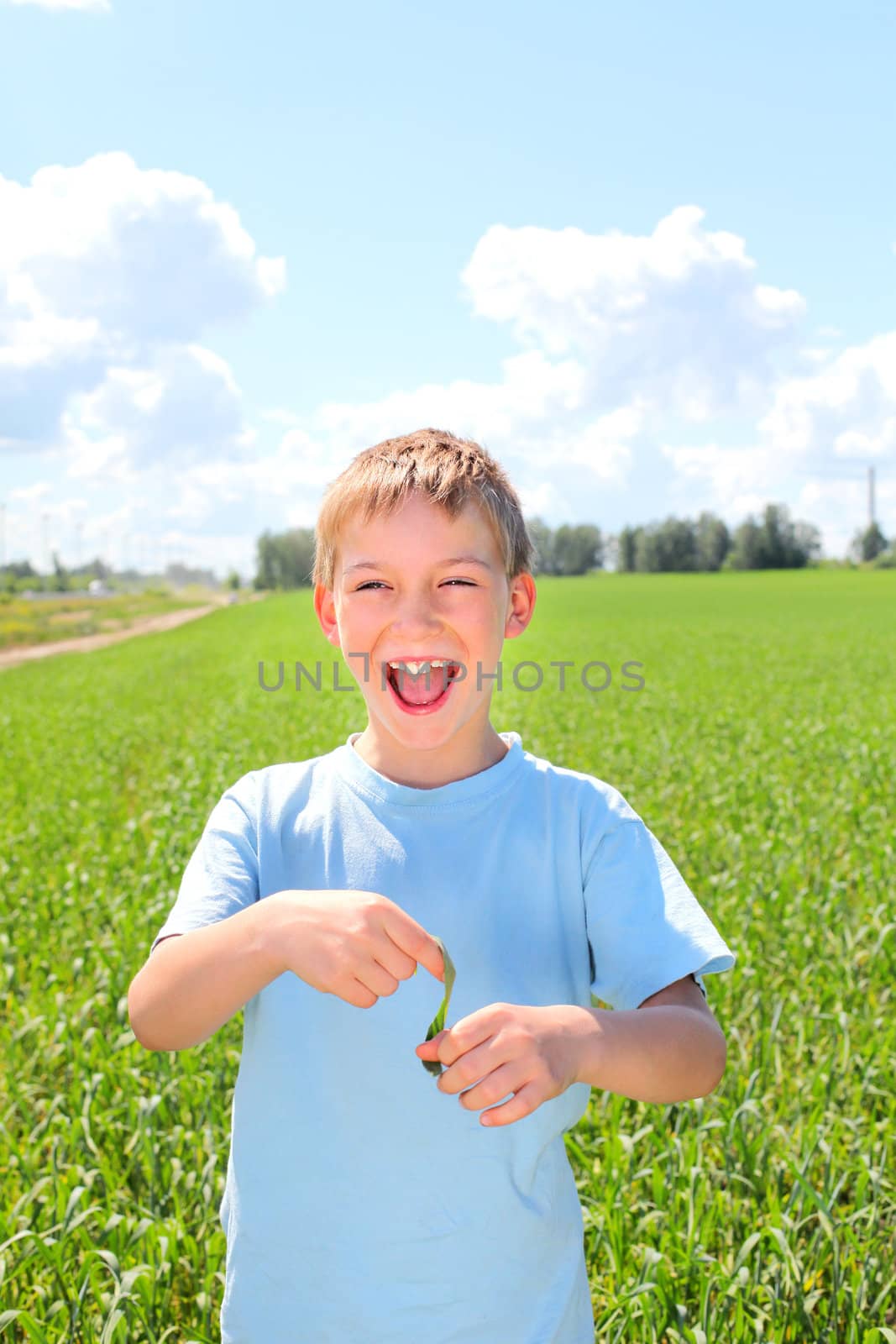 happy boy in the summer field