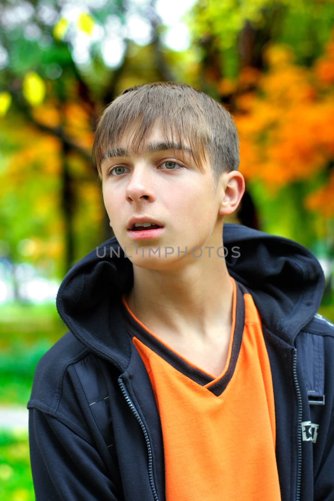 surprised teenager in the autumn park