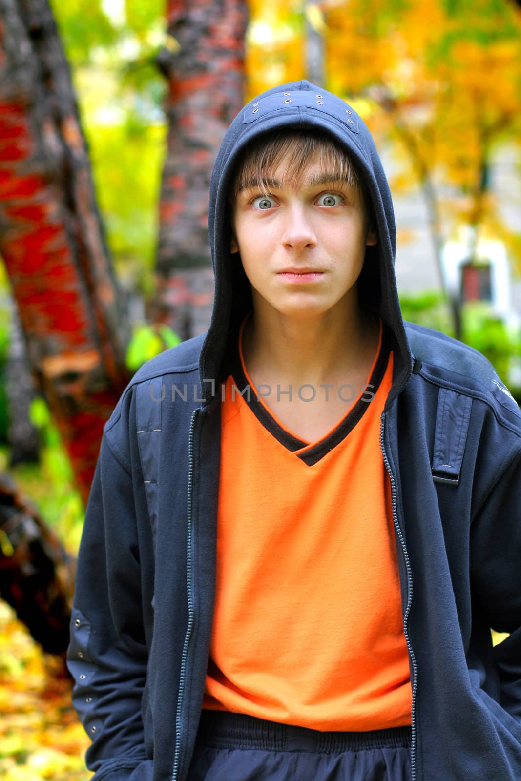 surprised teenager in the autumn park