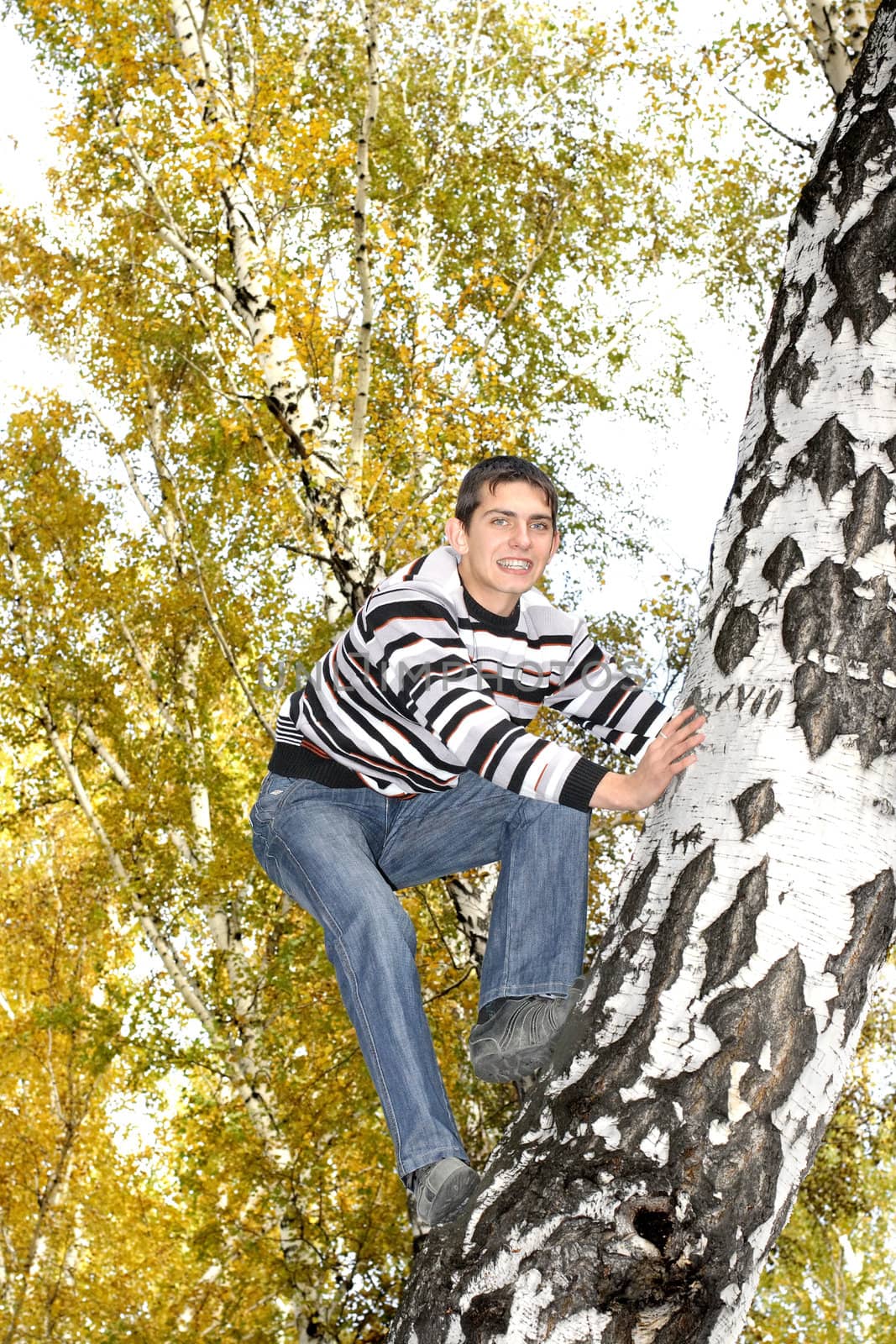 happy teenager climbing on the tree in the autumn forest